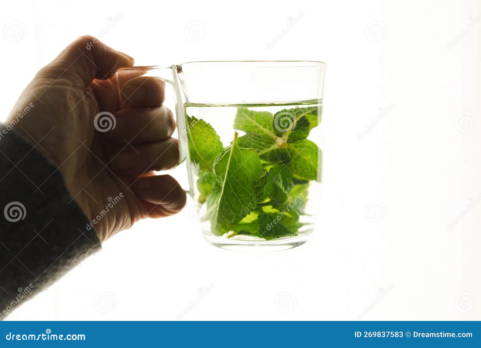 Hot Tea with Fresh Mint Leaves Stock Image Image of medicinal