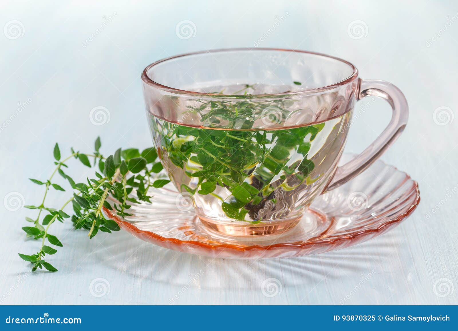 Tea from Fresh Thyme Leaves Stock Image Image of breakfast, bunch