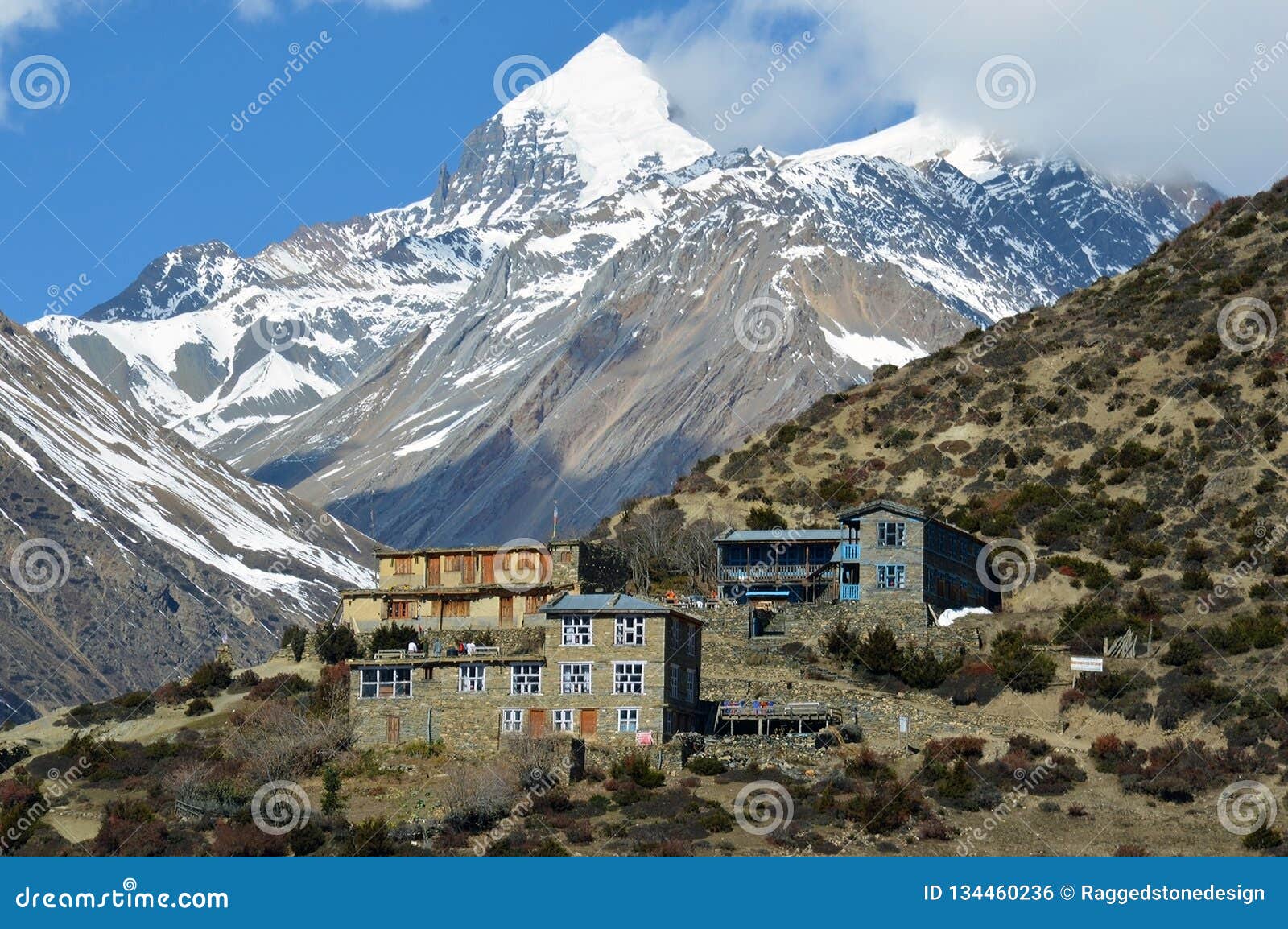 Himalayas Tea Stock Images - Download 252 Royalty Free Photos