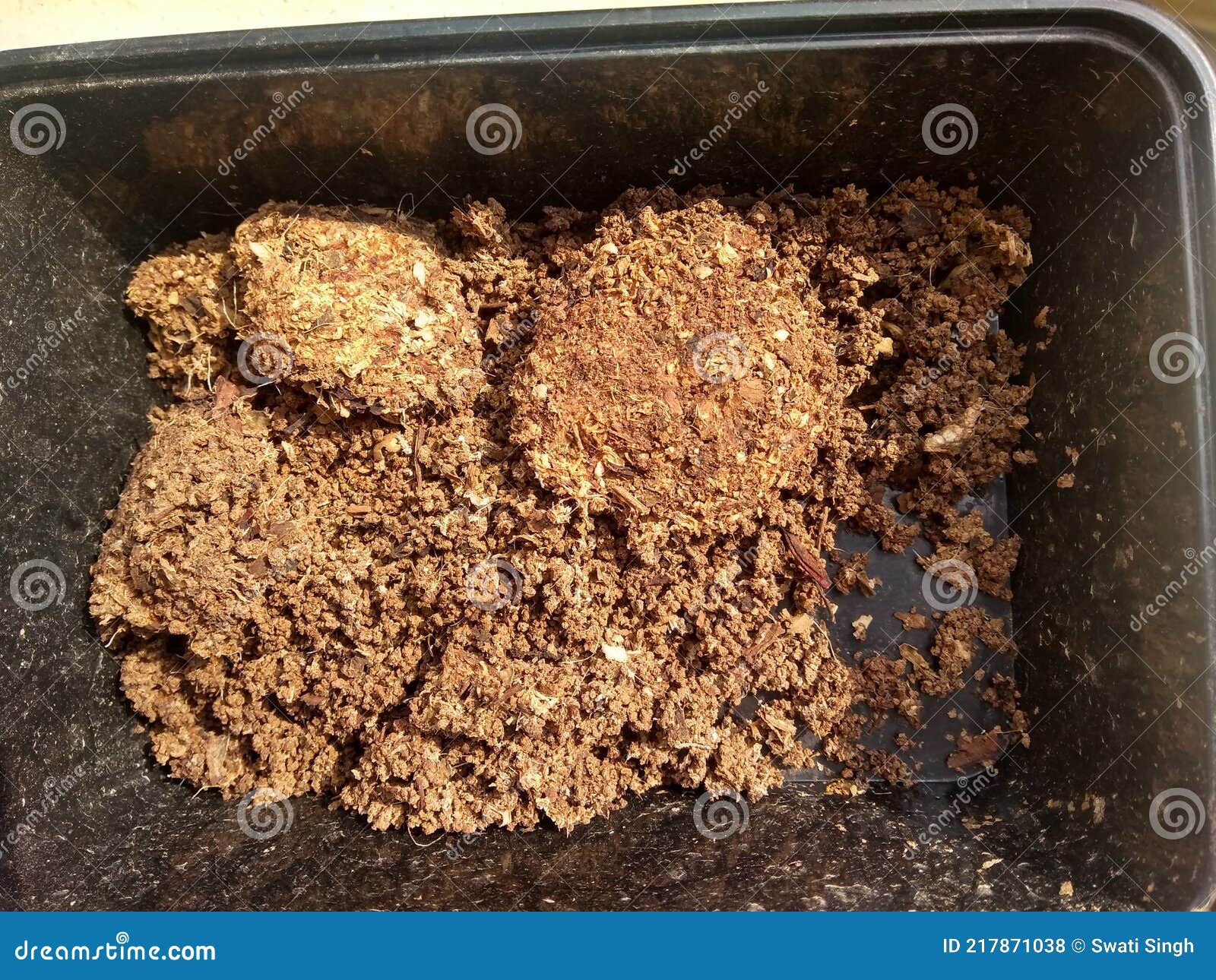 Tea Leaves for Home Compost Bin Stock Photo Image of home, compost