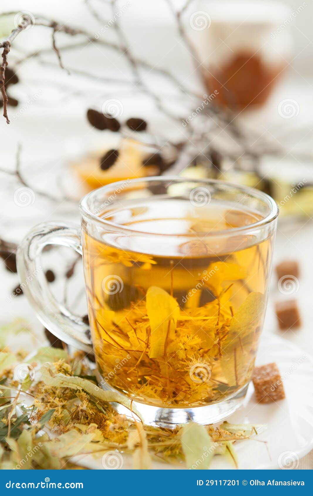 Tea of Lime Blossom with Honey Stock Image Image of alternative, green 29117201