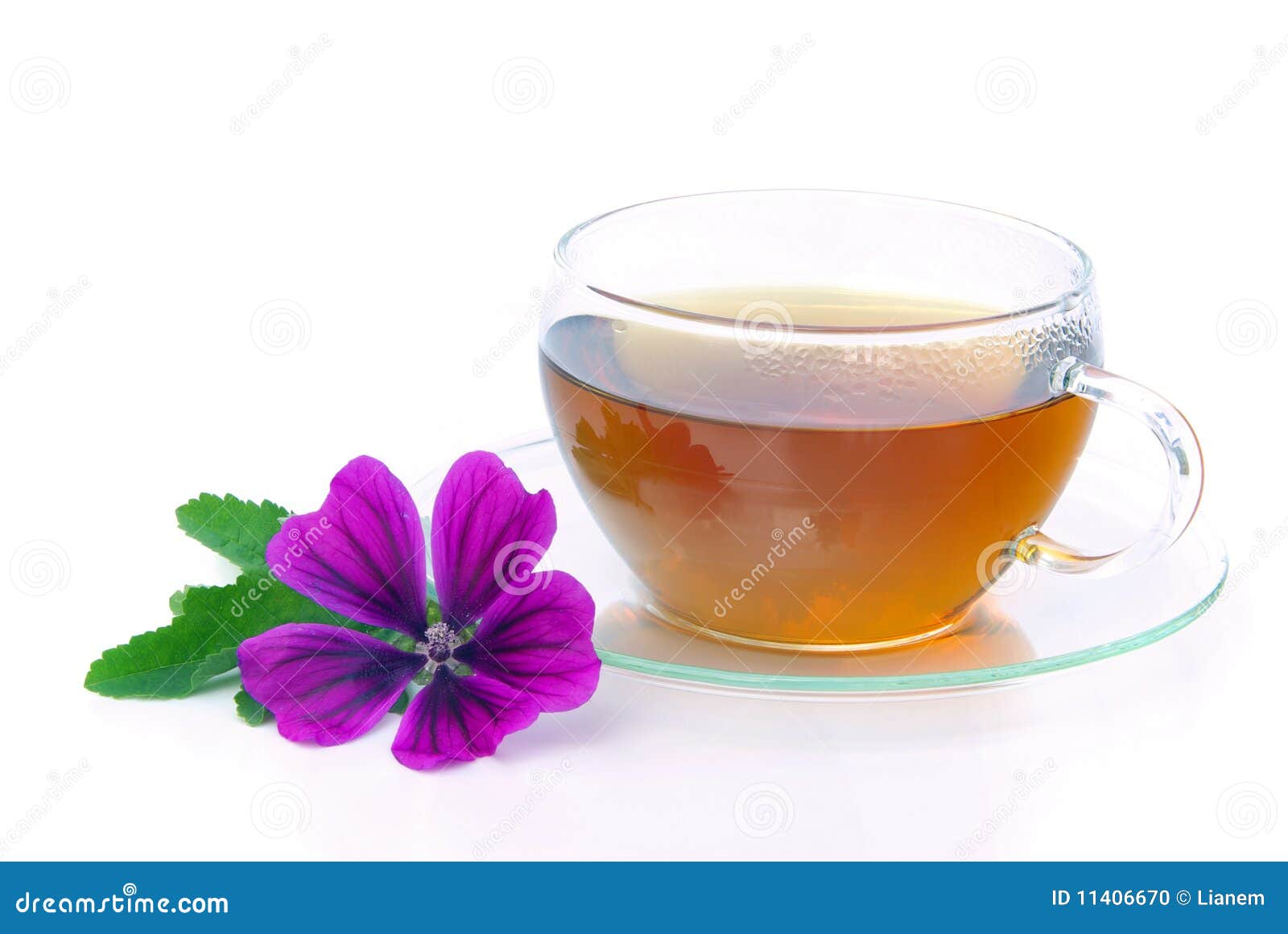 tea malva