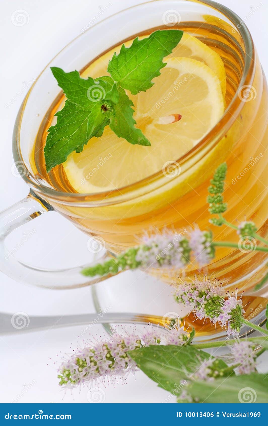 Tea mint stock photo. Image of healthy, flower, flowers 10013406