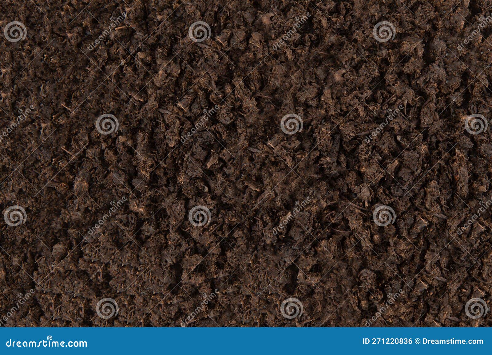 Tea from Pear Leaves Texture Closeup of Dried Tea Leaves Stock Photo