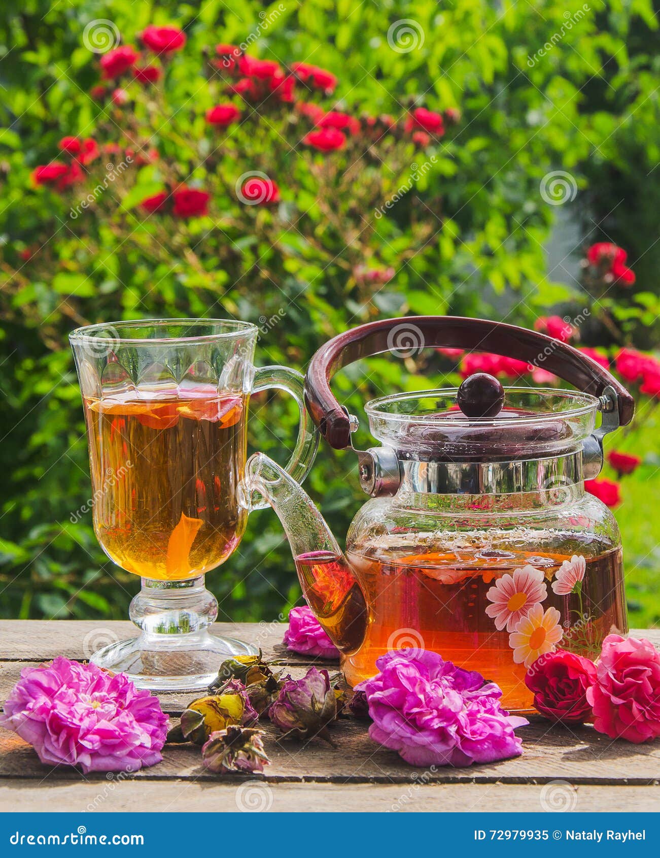 Tea And Rose Stock Image Image Of Rose Healthy White 72979935