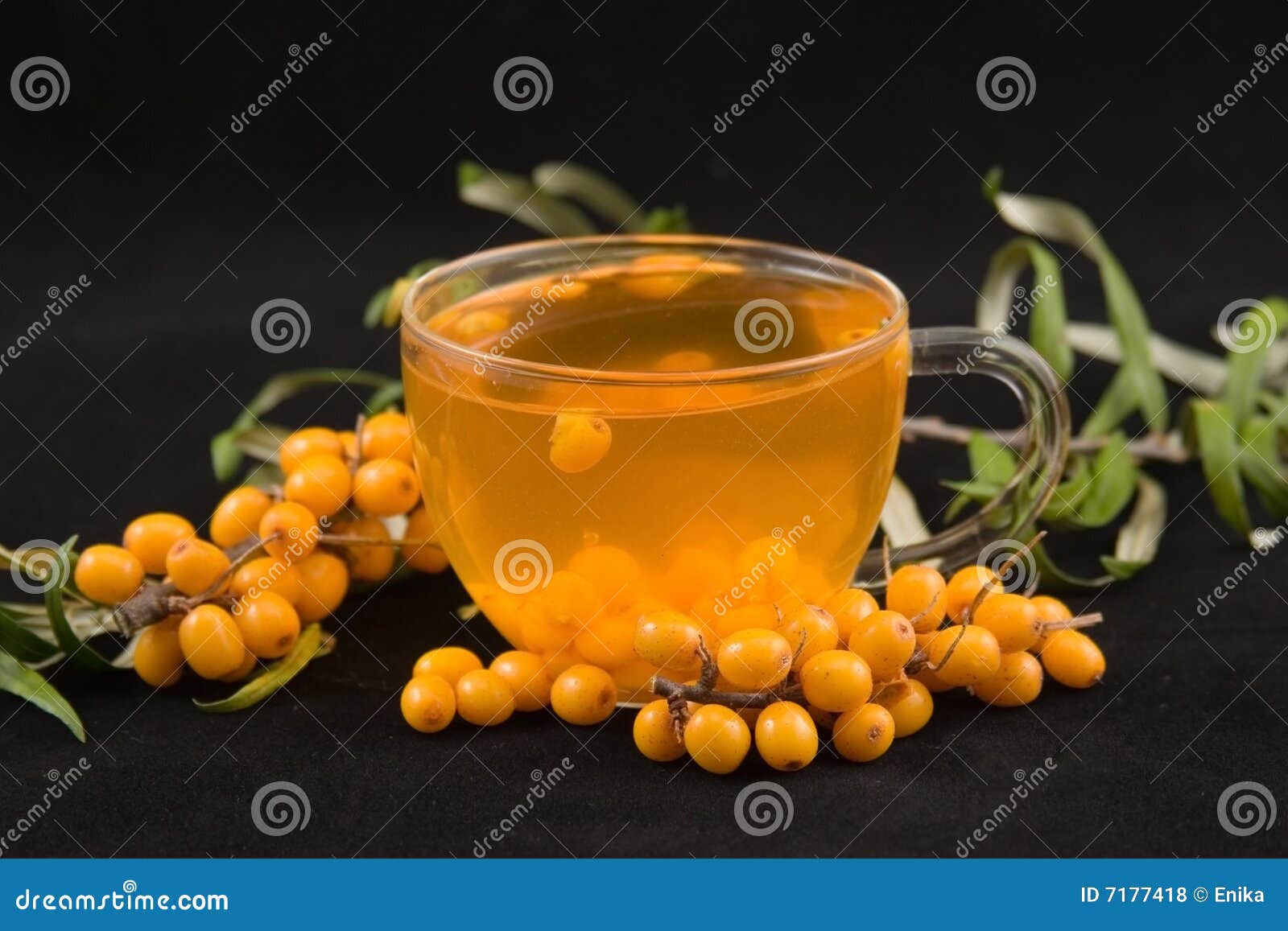 Tea with seabuckthorn stock photo. Image of treatment 7177418