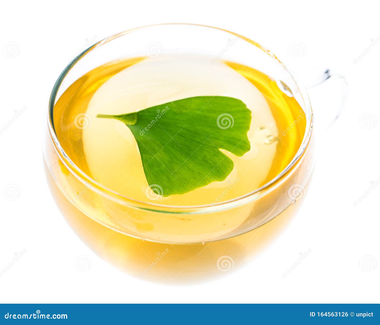 Ginkgo Tea with a Floating Ginkgo Leaf Stock Photo Image of leaf