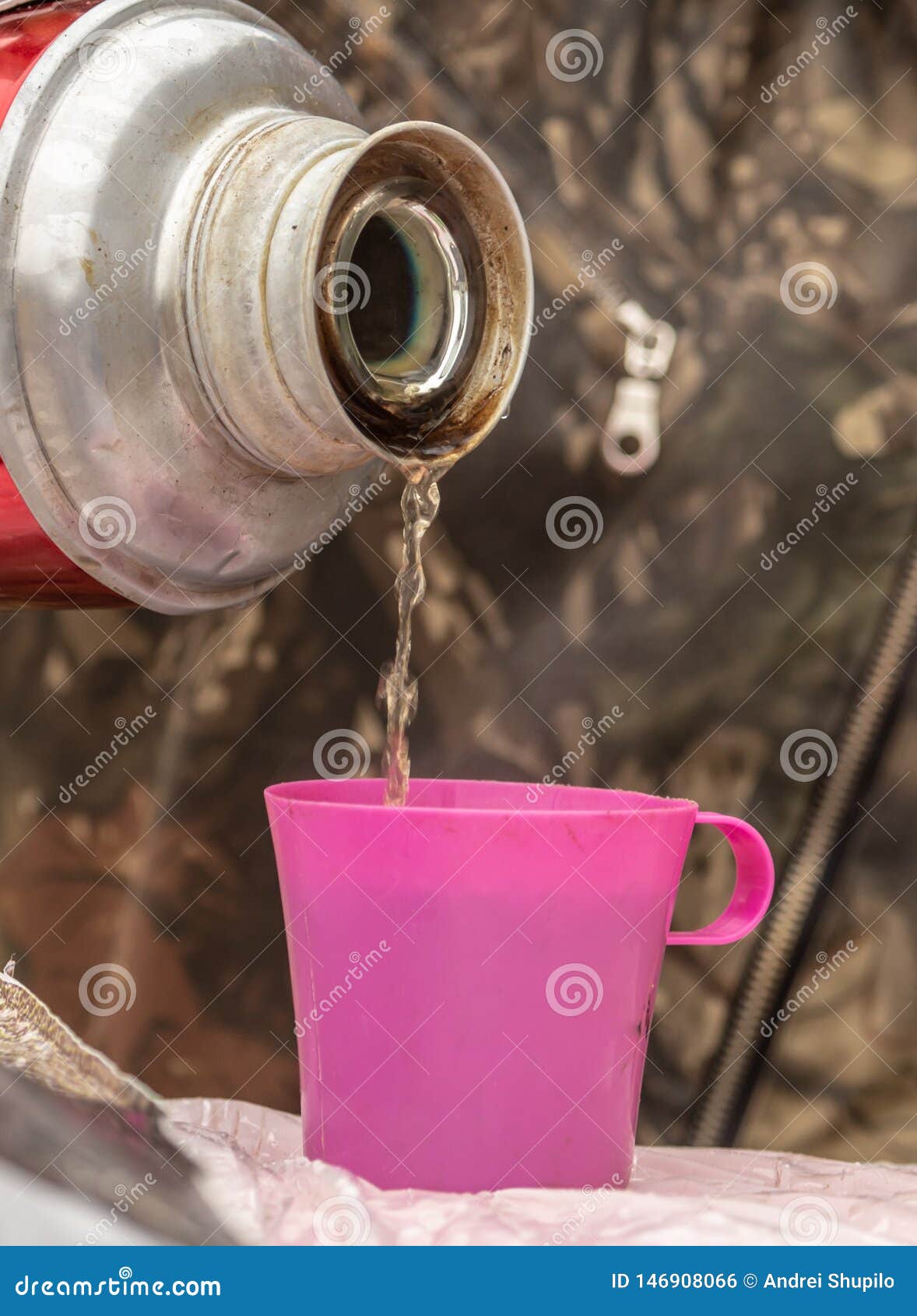 Tea with a Thermos in Nature Stock Photo Image of coffee, picnic 146908066