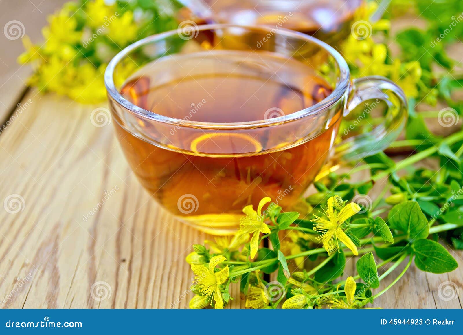 Tea from tutsan in glass cup on board. Herbal tea in a glass cup and teapot, fresh flowers tutsan on the background of wooden boards