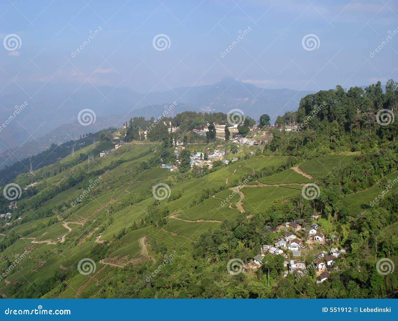 Tea valley stock photo. Image of agriculture, cover, furtile 551912