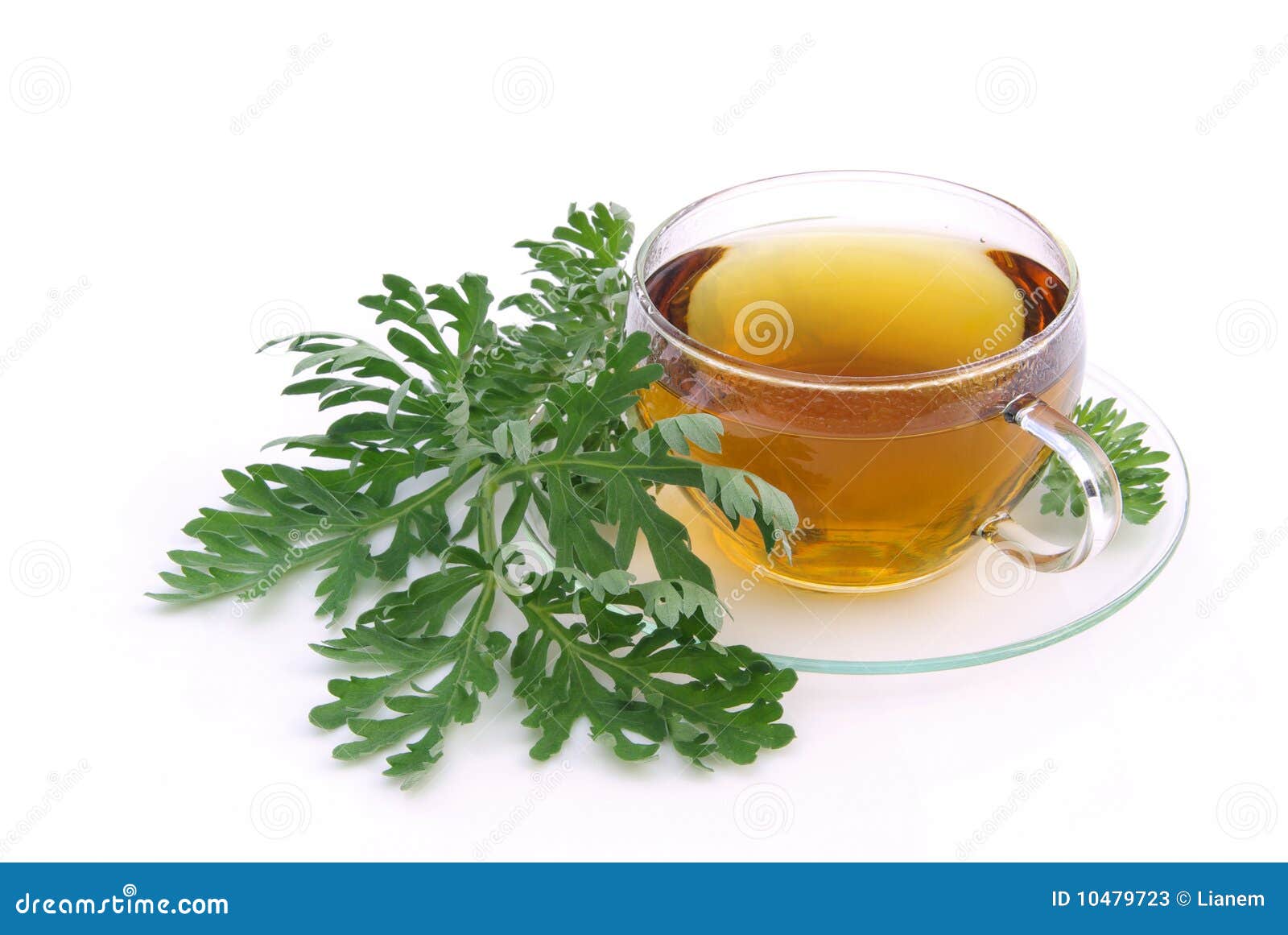 Tea wormwood stock image. Image of tisane, grand, white 10479723