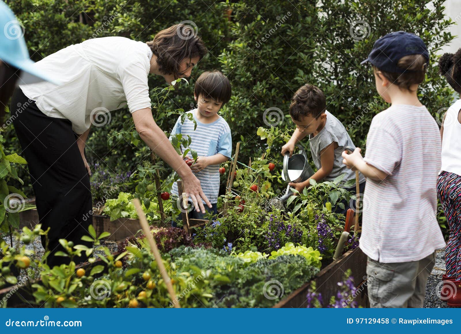 teacher and kids school learning ecology gardening