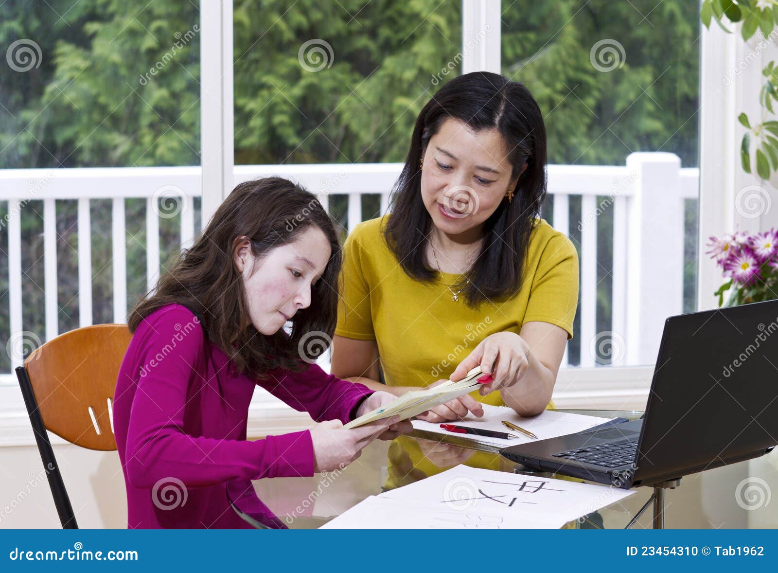 Teaching Chinese stock photo. Image of attractive, helping 23454310