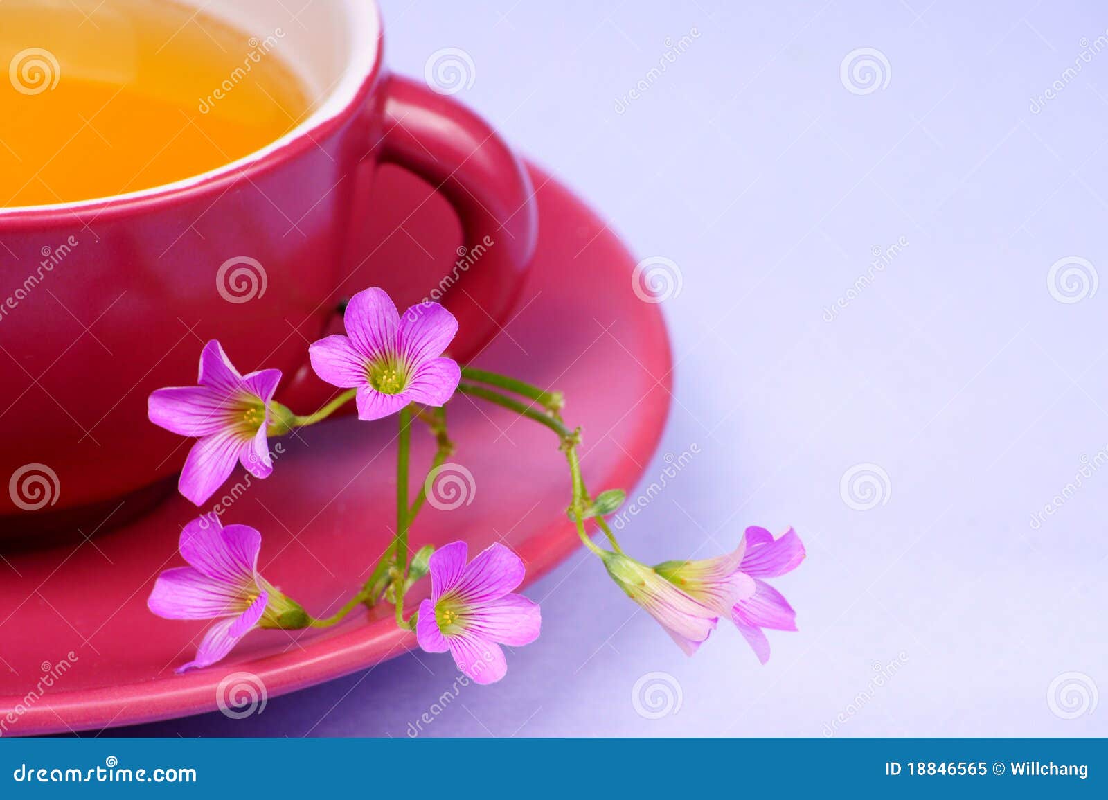 Teacup with Flower Enjoy Your Fresh Tea Stock Image Image of space