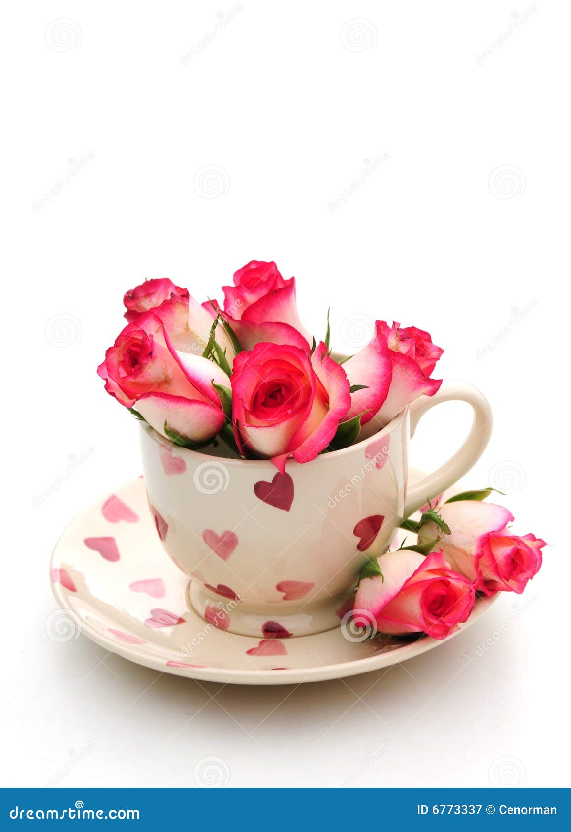 teacup with roses