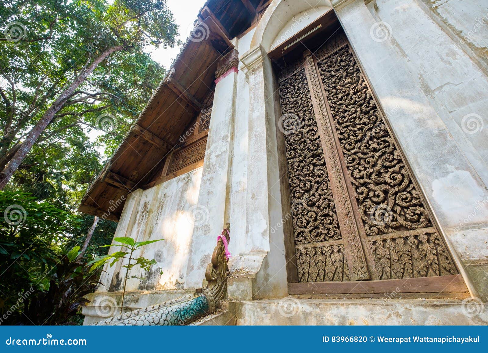 teak carve door