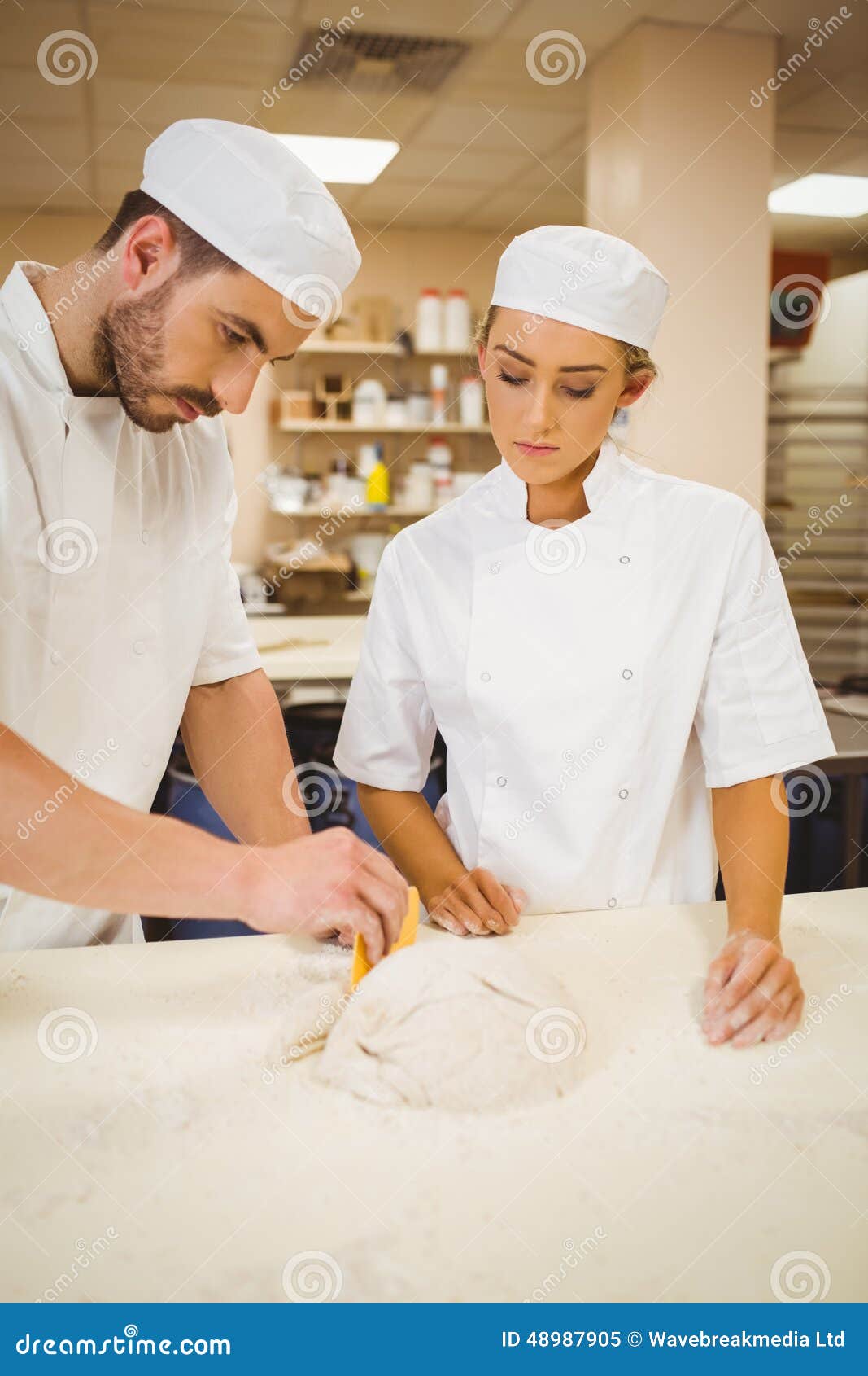 Team of Bakers Kneading Dough Stock Image Image of woman, indoors