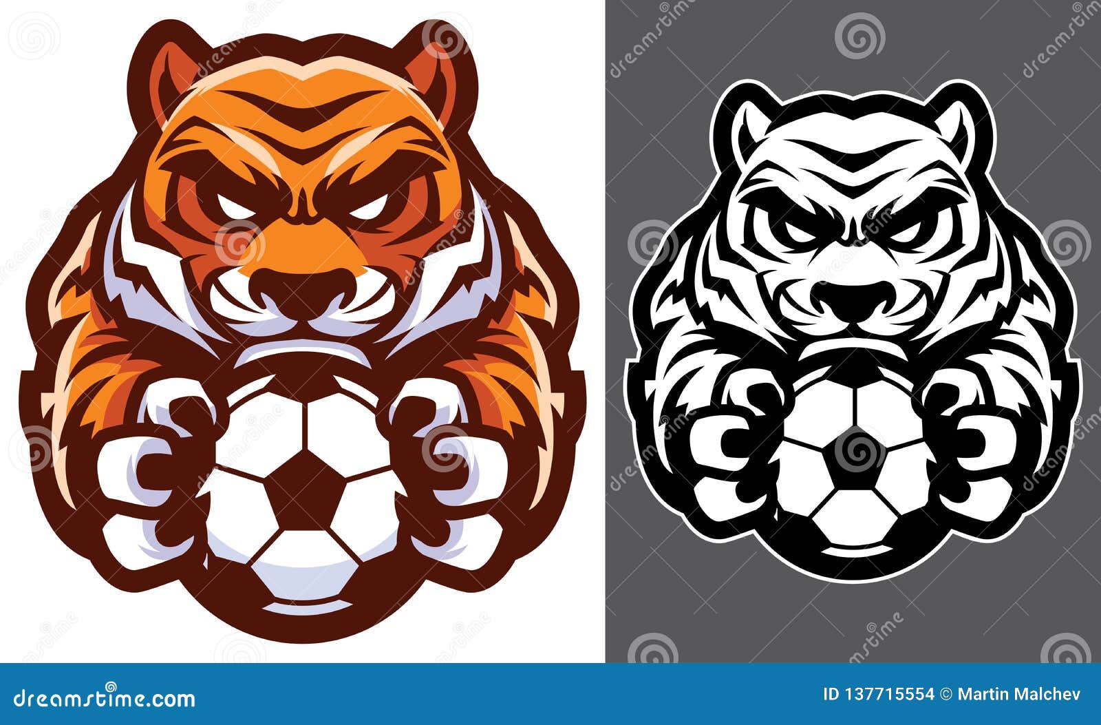 football bengal tigers