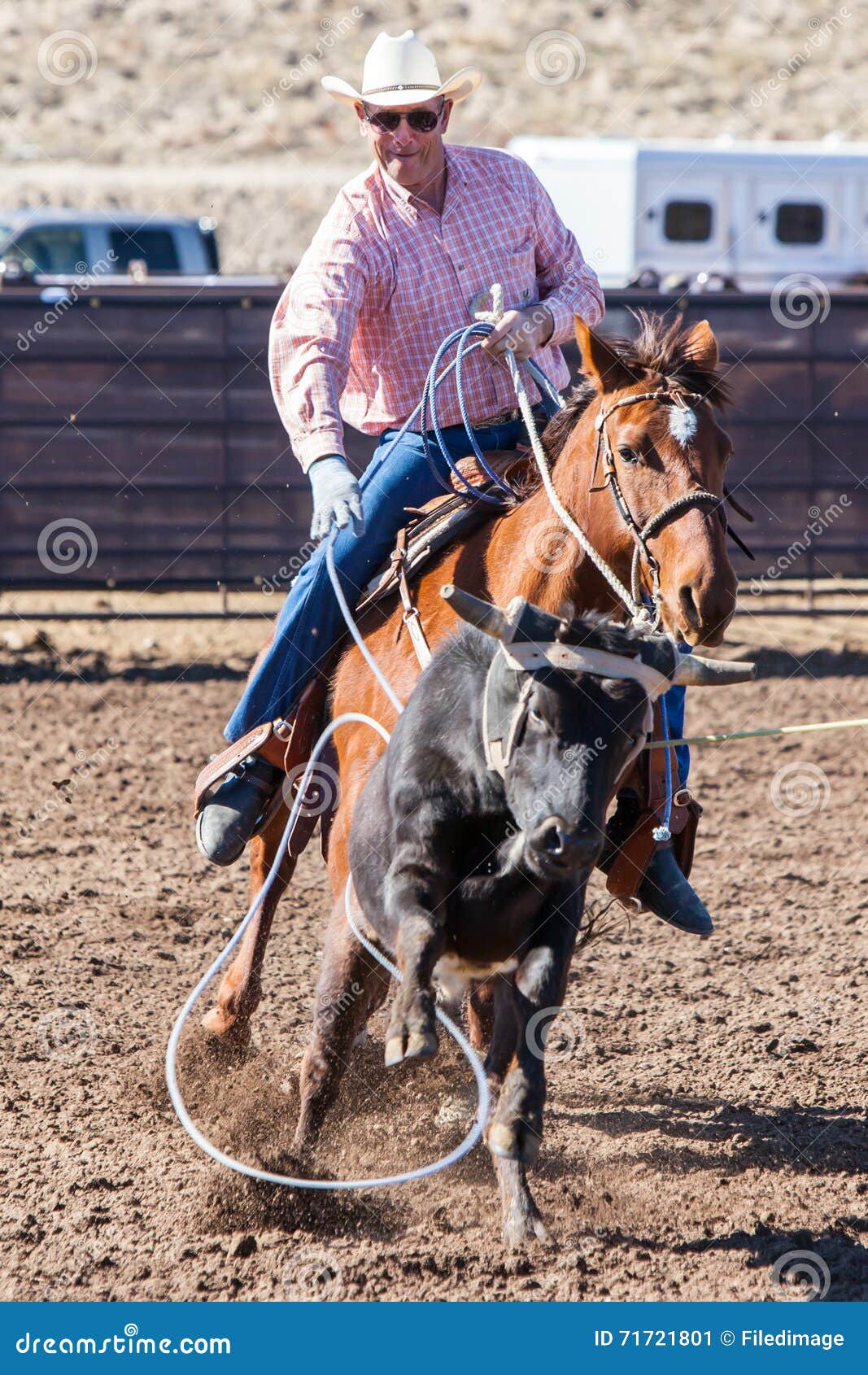 Encontrando o cavalo ideal no Arizona - Team Roping Brasil