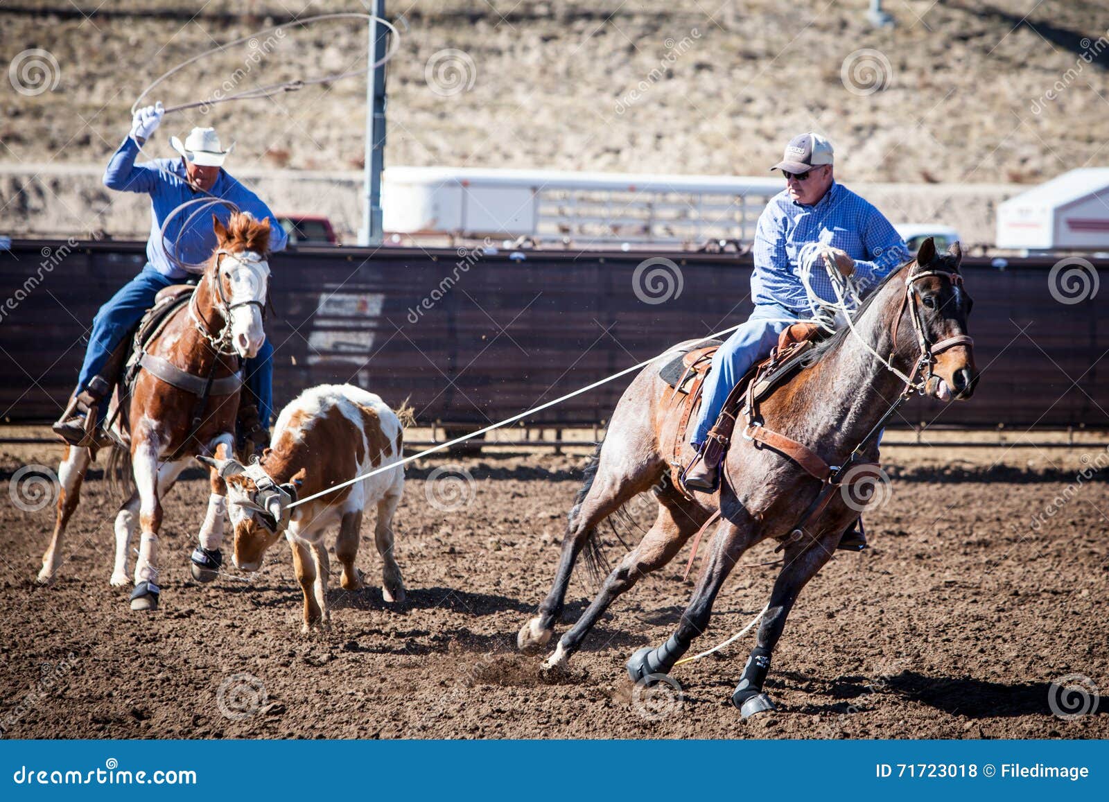 Team Roping Competition foto de stock editorial. Imagem de desempenho
