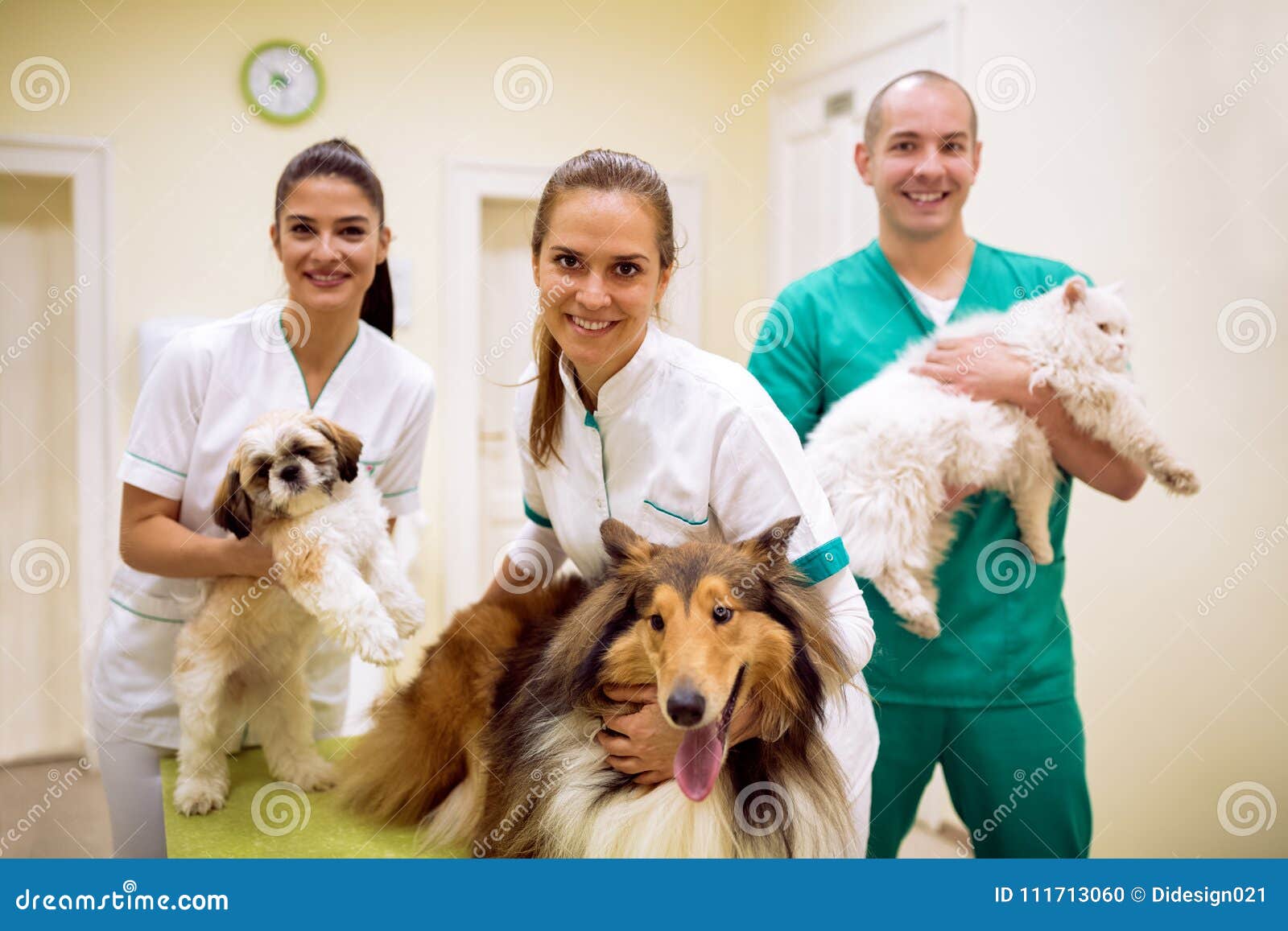 Team of Veterinarian with Animals at Success Pet Ambulance Stock Photo -  Image of clinic, pain: 111713060