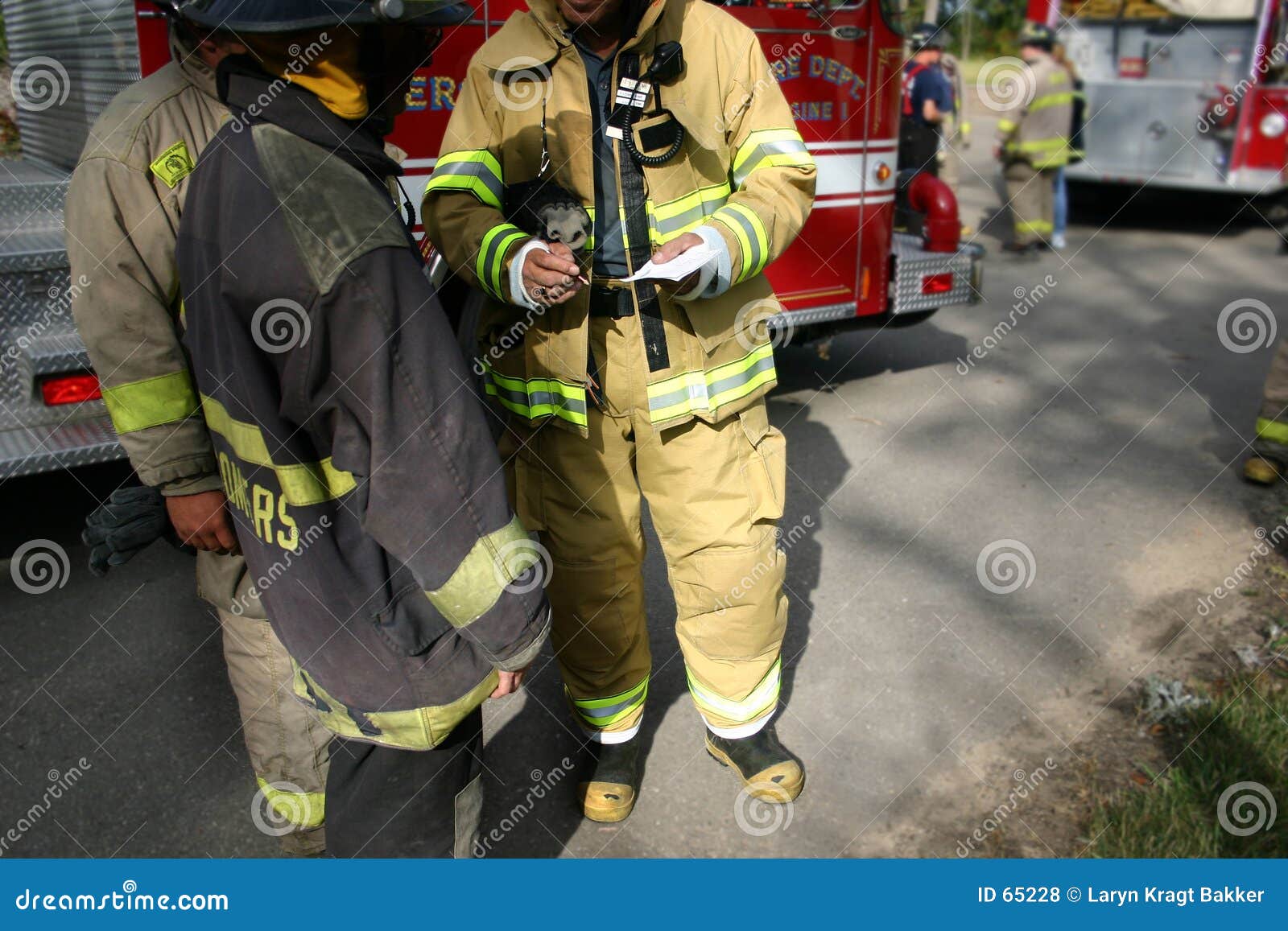 teamwork (firefighters)