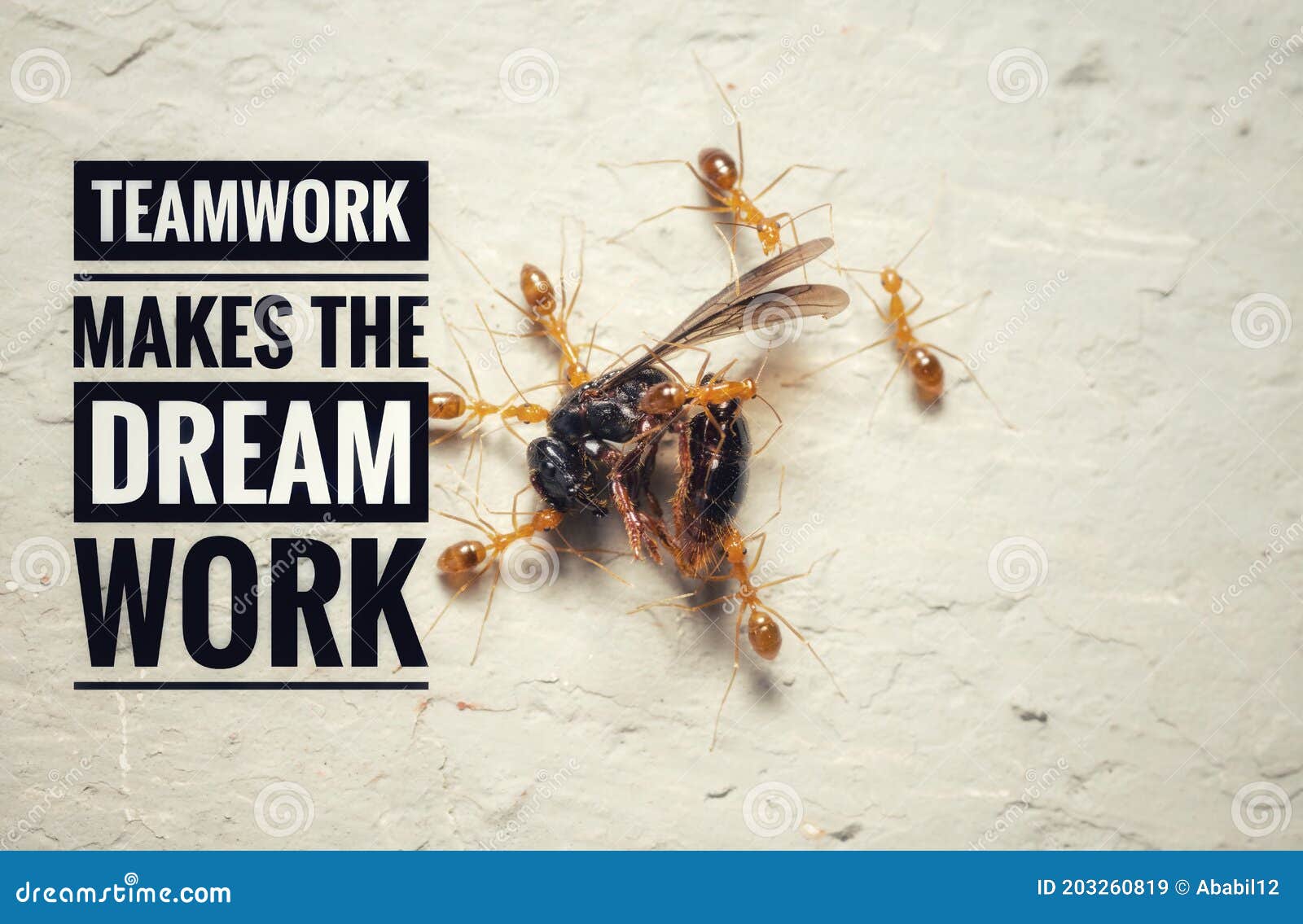 TEAMWORK MAKES the DREAM WORK Stock Image - Image of leadership, corporate:  203260819