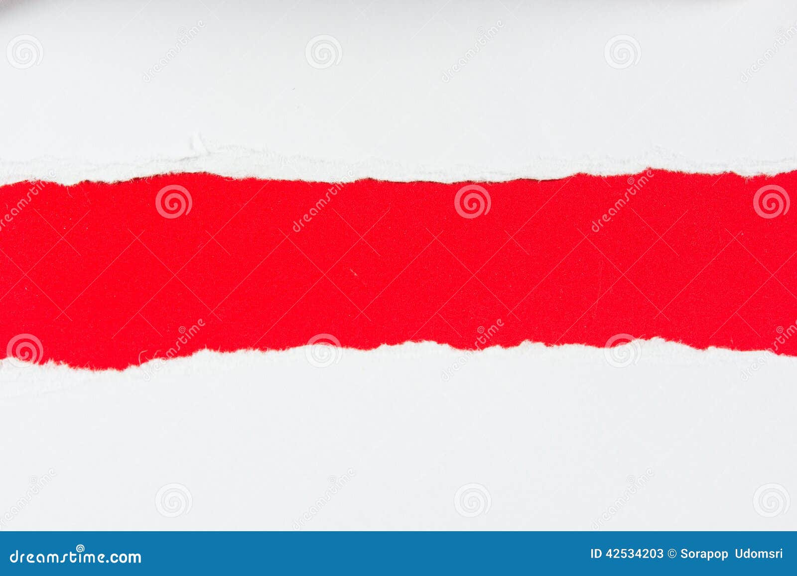 Tear Red Paper Pieces of Paper on White Stock Image - Image of copy ...