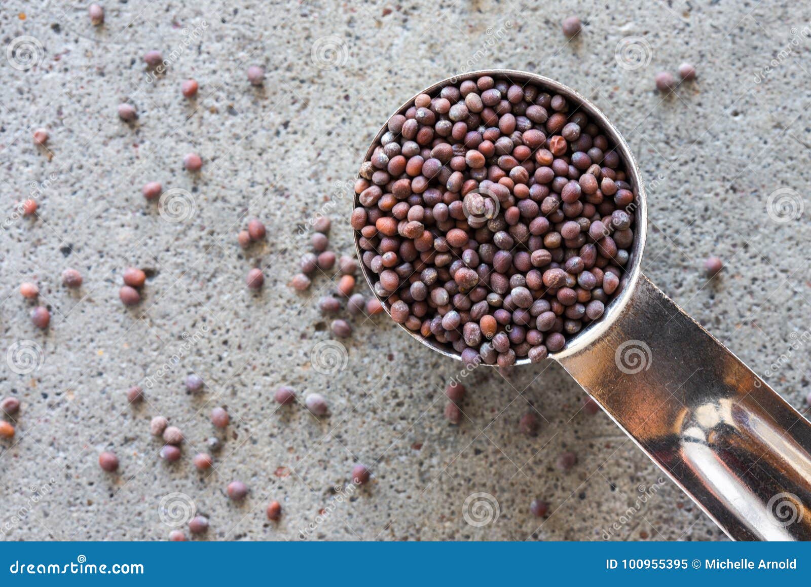 Brown Mustard Seeds Spilled from a Teaspoon Stock Image Image of
