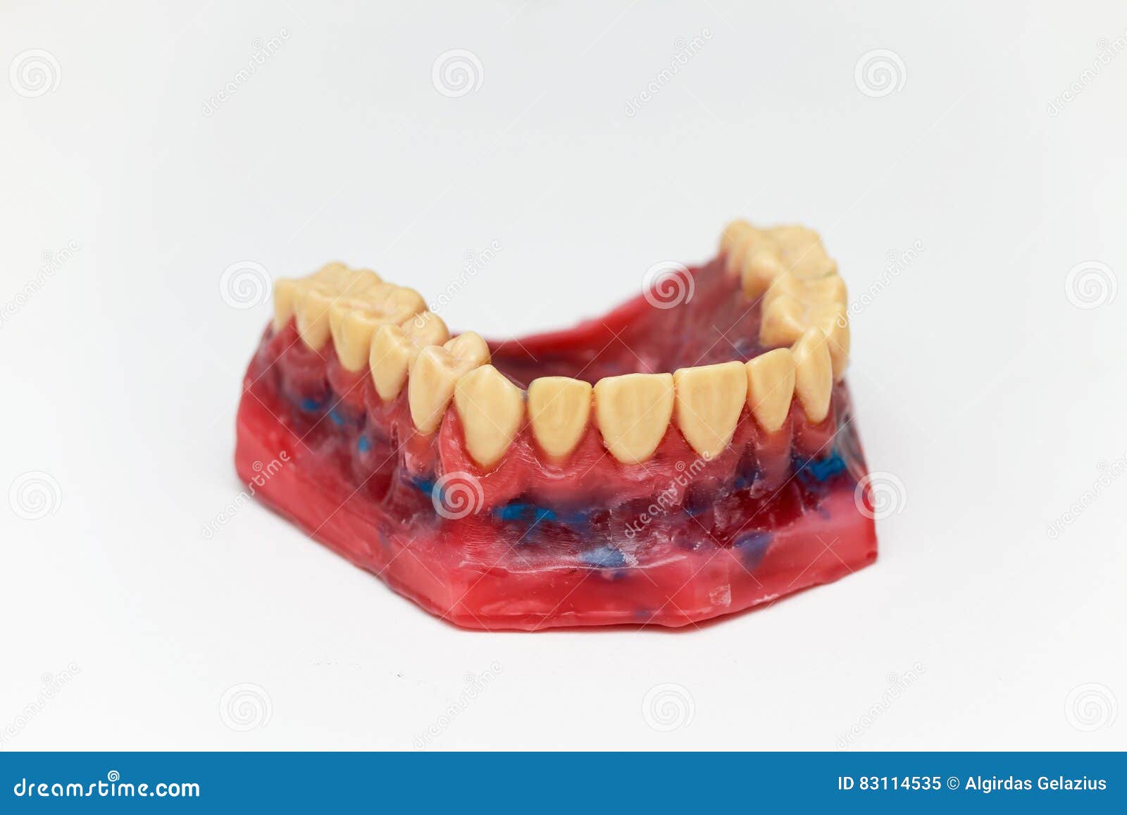 Technical Shots of Models on a Dental Laboratory Stock Image Image of