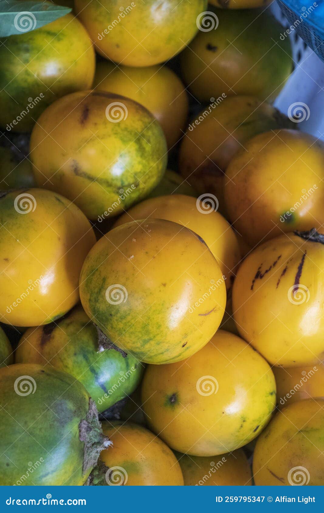 Solanum Melongena Atau Terong Sayur Stock Image Image of flowering