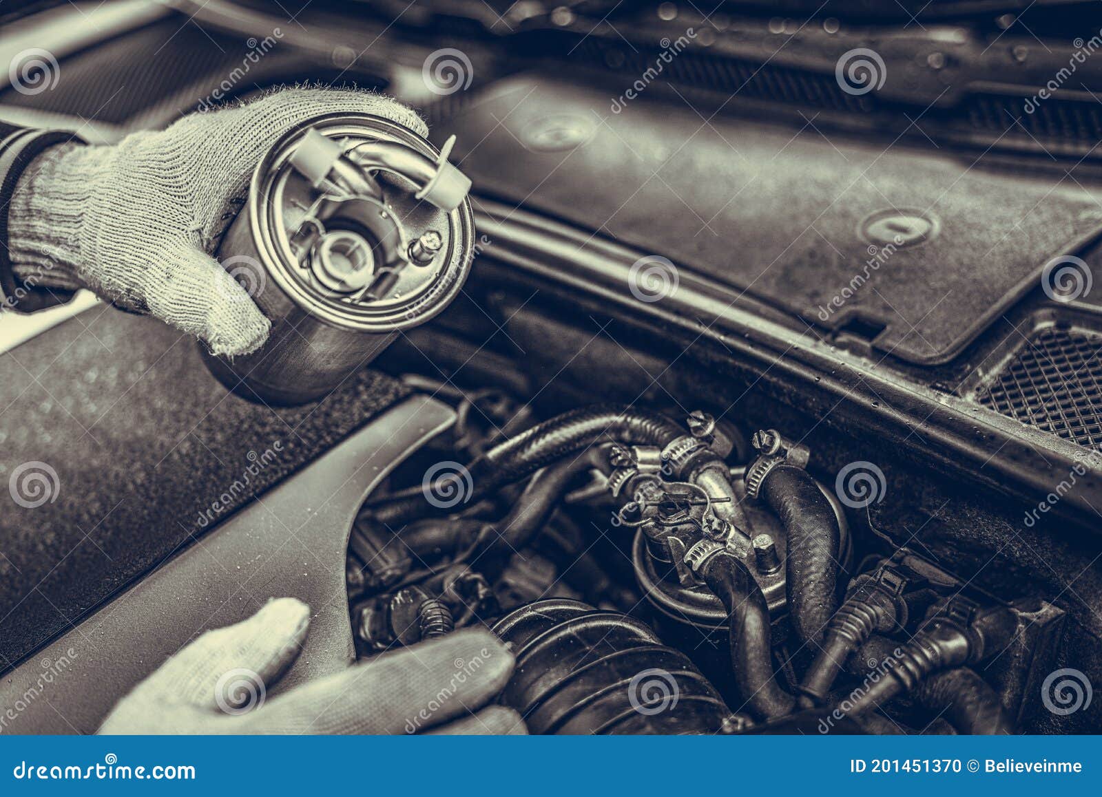 The Technician is Changing the Diesel Fuel Filter Stock Photo Image