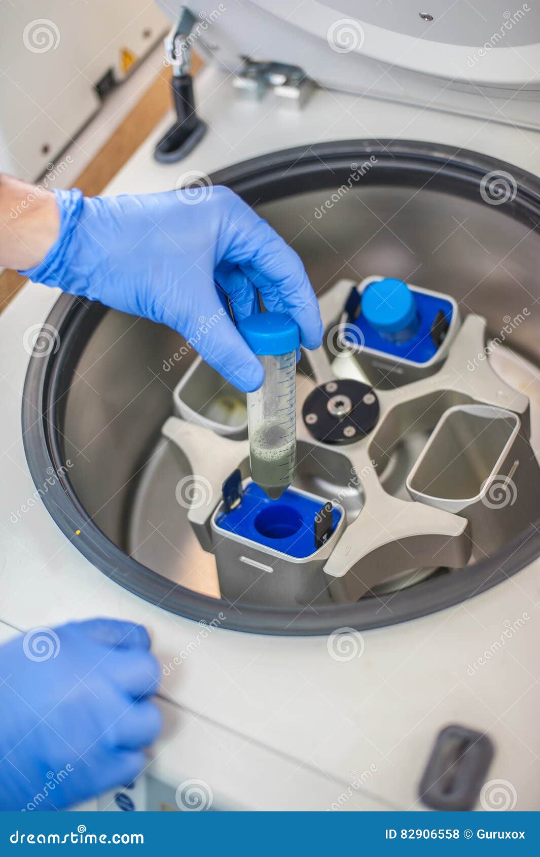Technician Loading a Sample To Centrifuge Machine Stock Photo Image