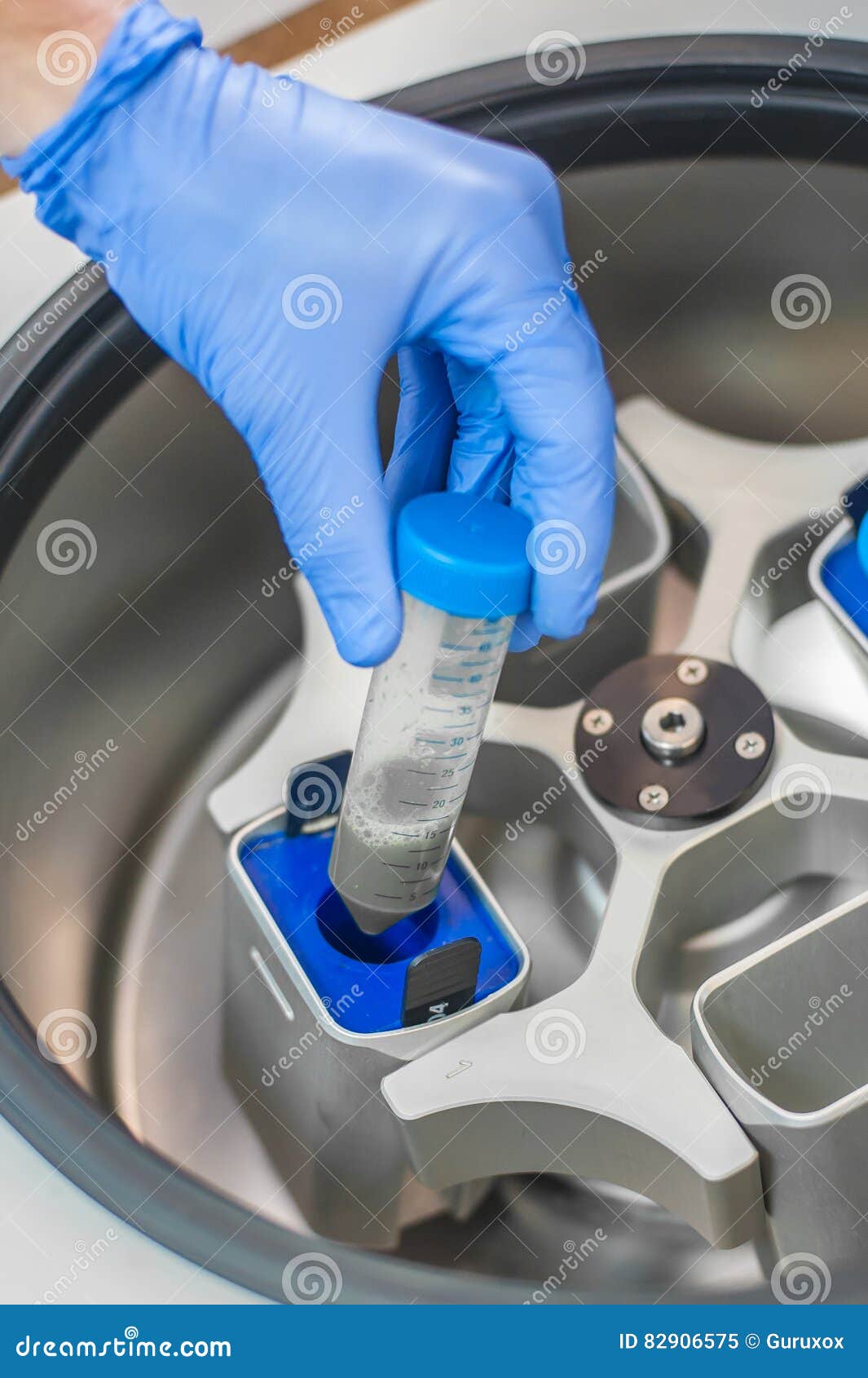 Technician Loading a Sample To Centrifuge Machine Stock Image Image