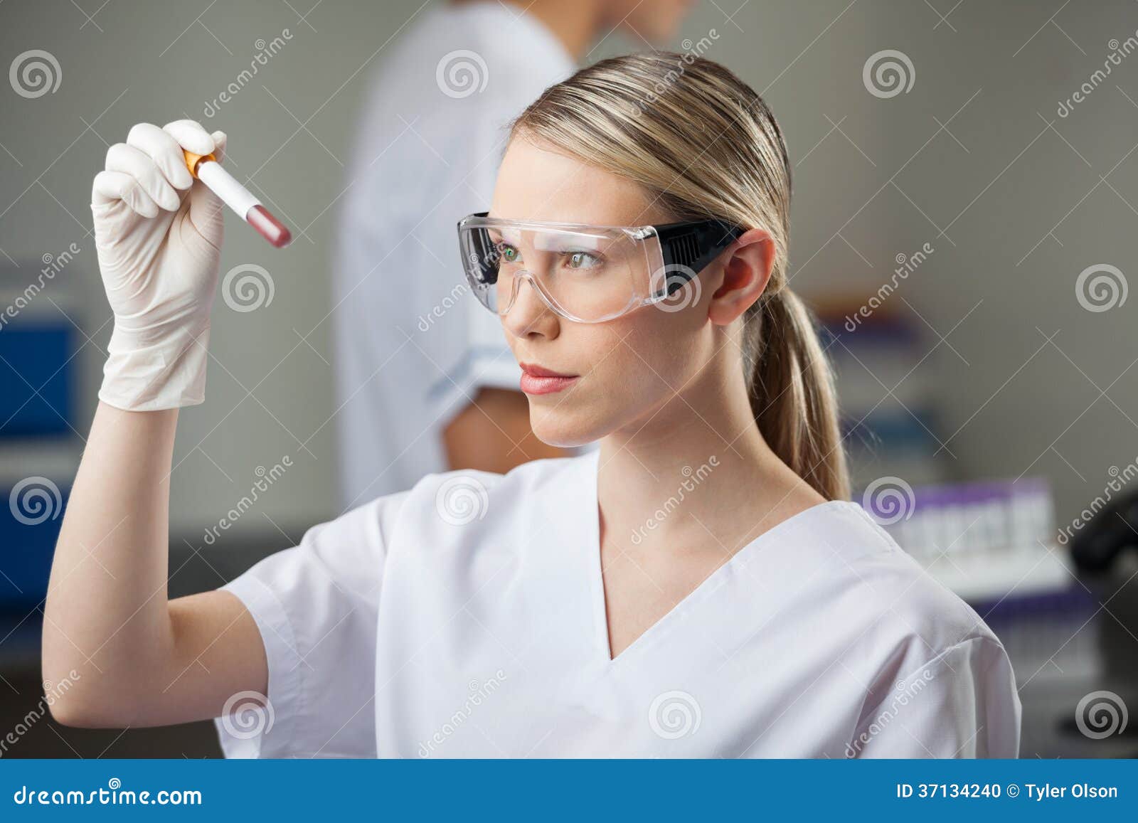 Technician Testing Blood Sample in Lap Stock Photo Image of
