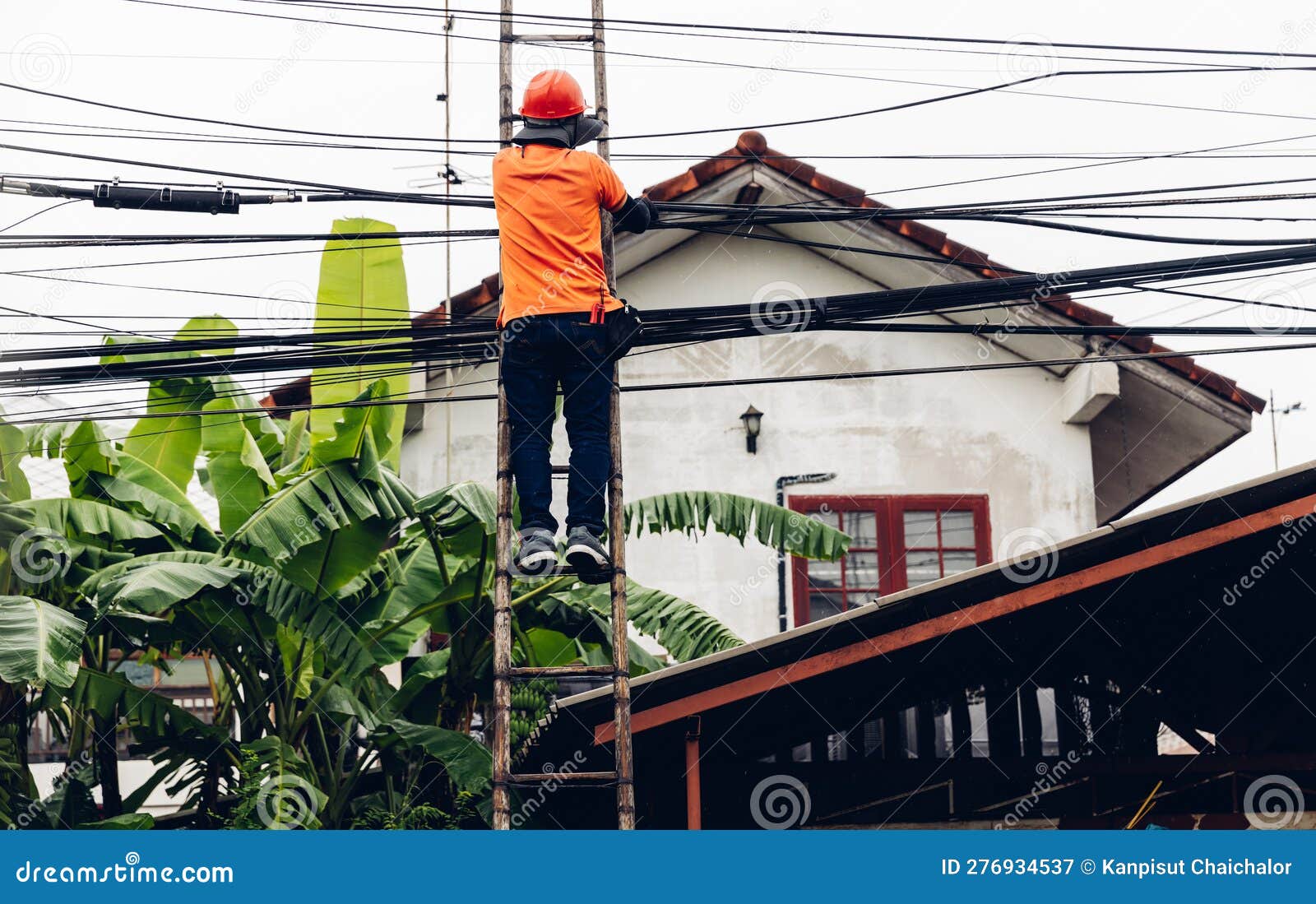Technician on Wooden Ladder Checking Fiber Optic Cables. Technician on