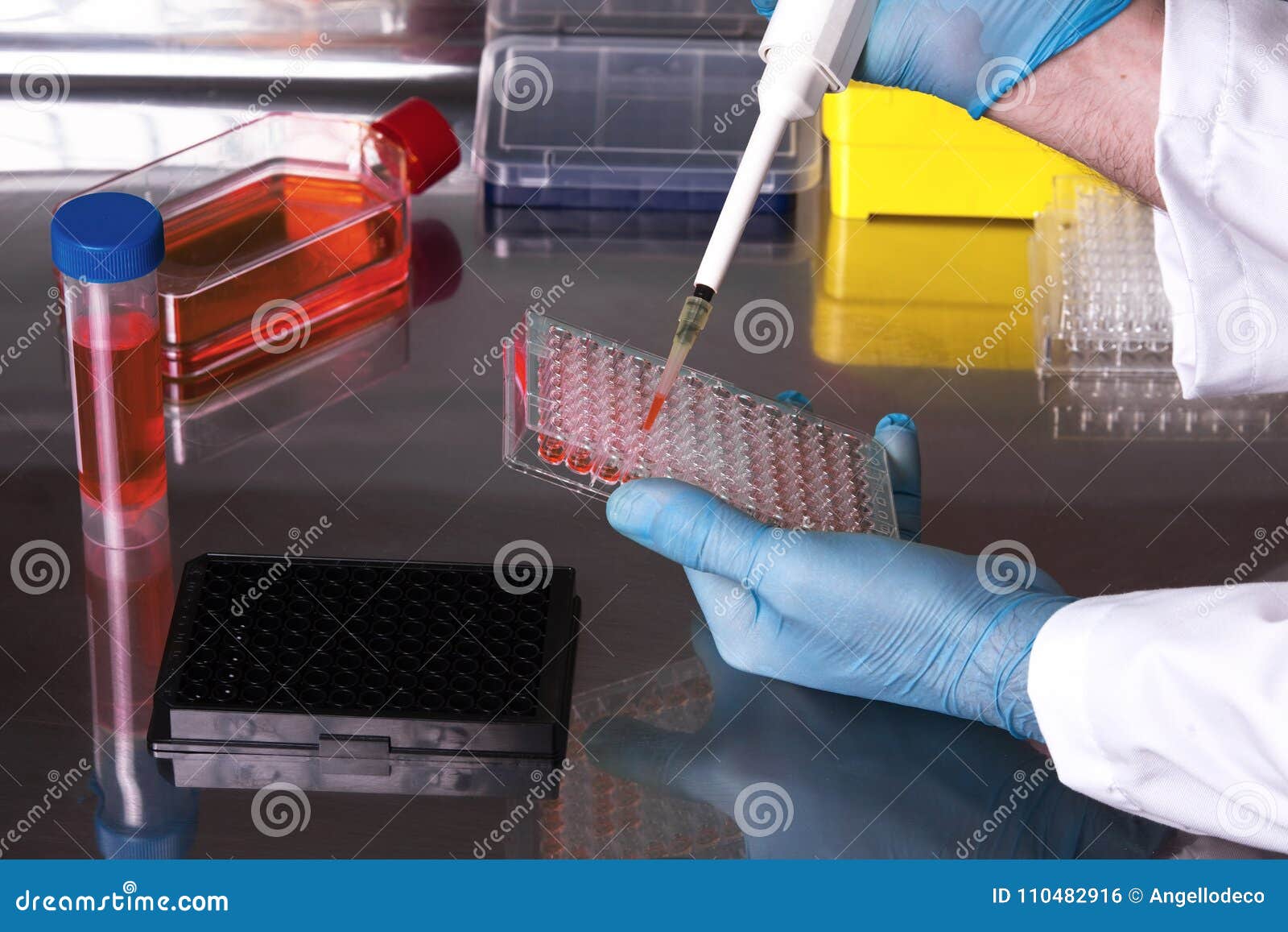 Researcher Working with Cell Cultures Under Sterile Stock Photo