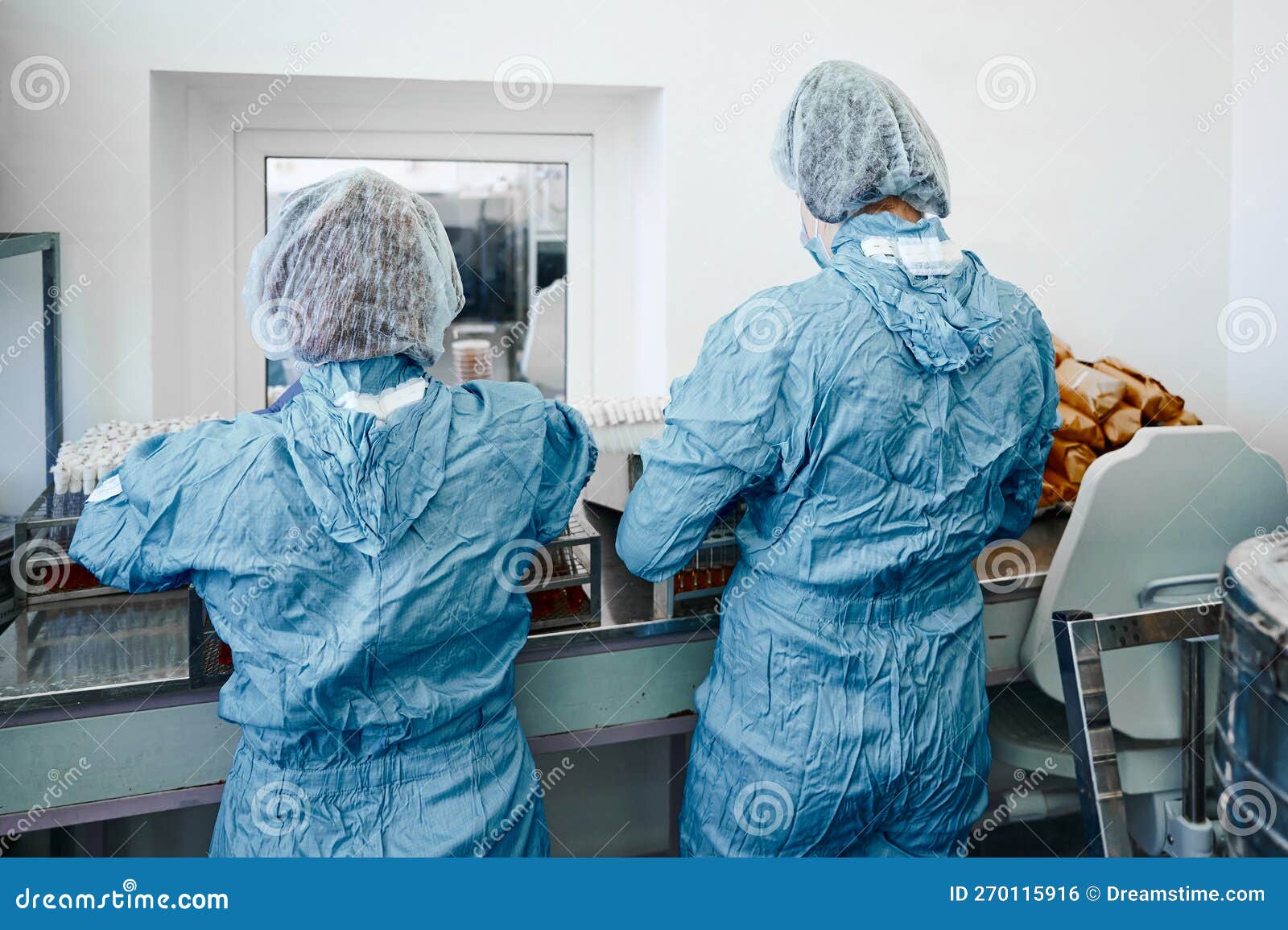 Technician Works on Creating Special Bacterial Culture Stock Photo