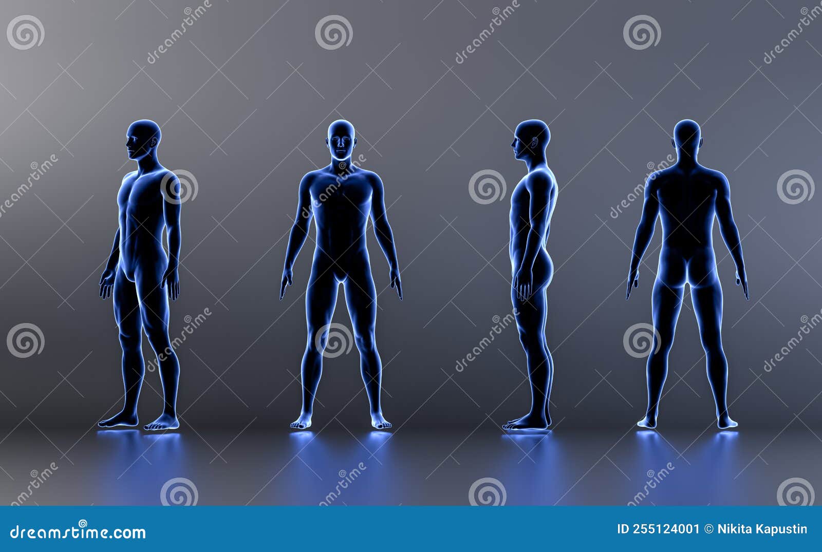 technological human hologram of a male mannequin standing standing in straight t -pose - 3d anatomy artificial intelligence