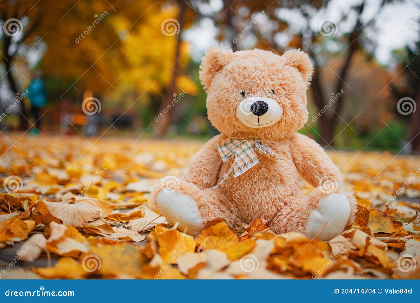 Teddy Bear Baby Toy Sitting in Fallen Colorful Leaves Outdoor. Autumn ...