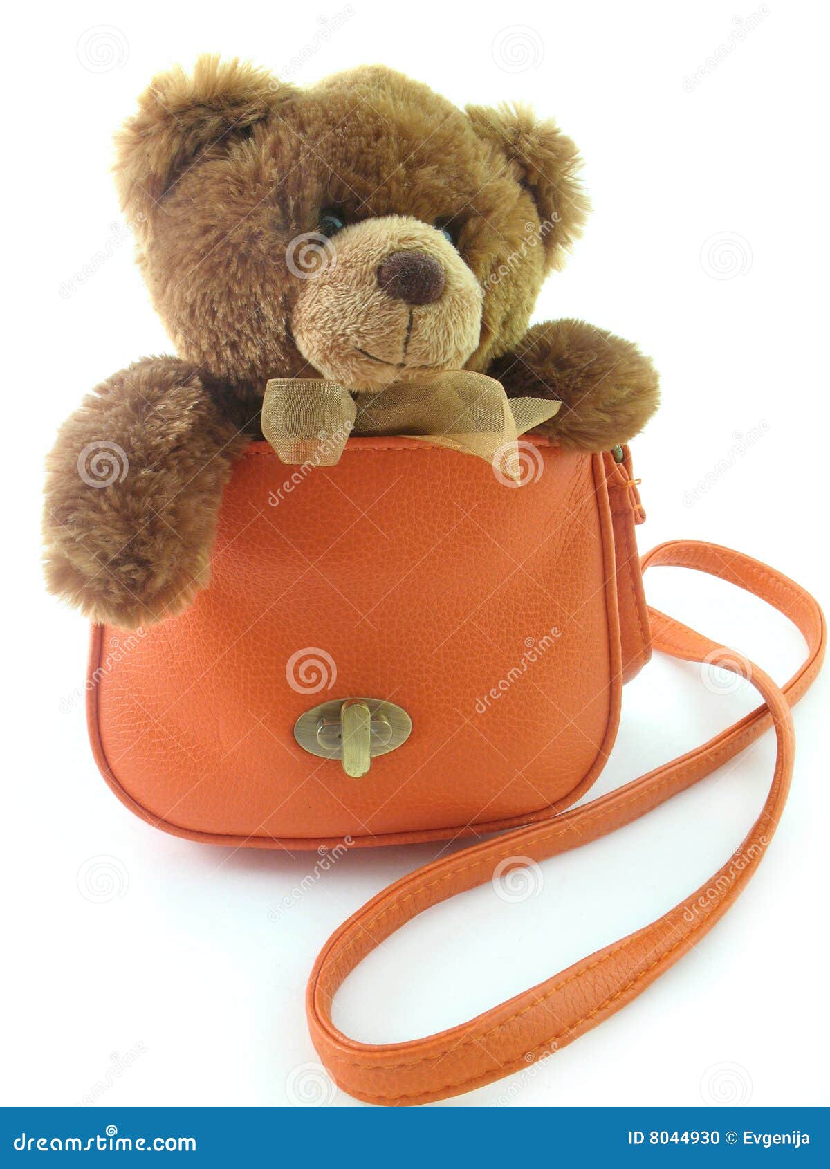 Teddy bear in a bag stock photo. Image 