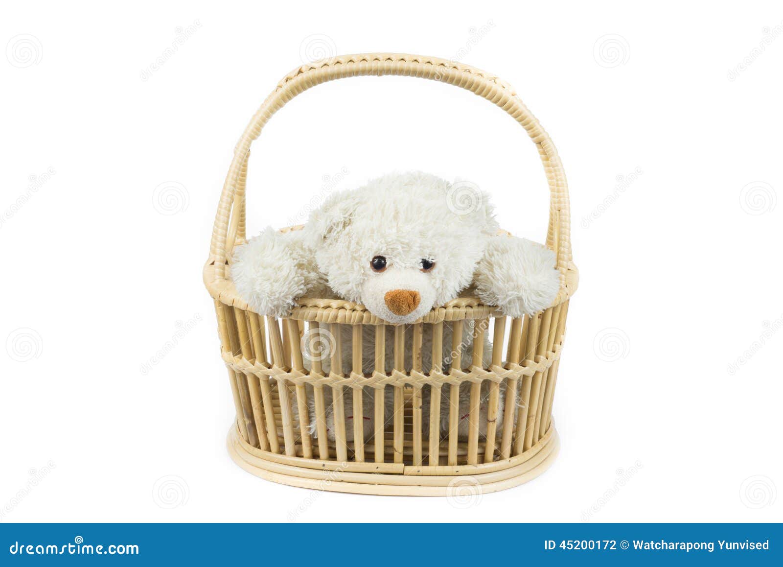 teddy bear in a basket