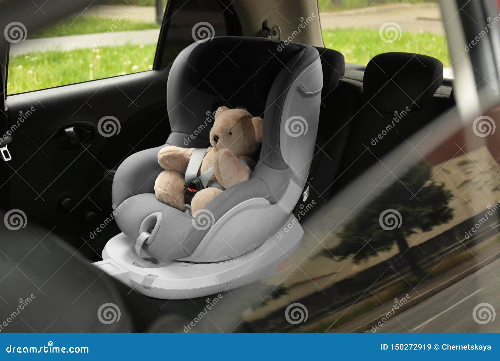 teddy bear in car