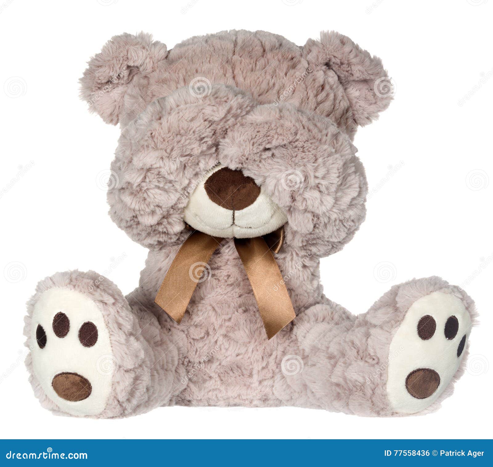 Isolated Teddy Bear Covering Eyes Stock Photo - Image of nose, fluffy:  77558436