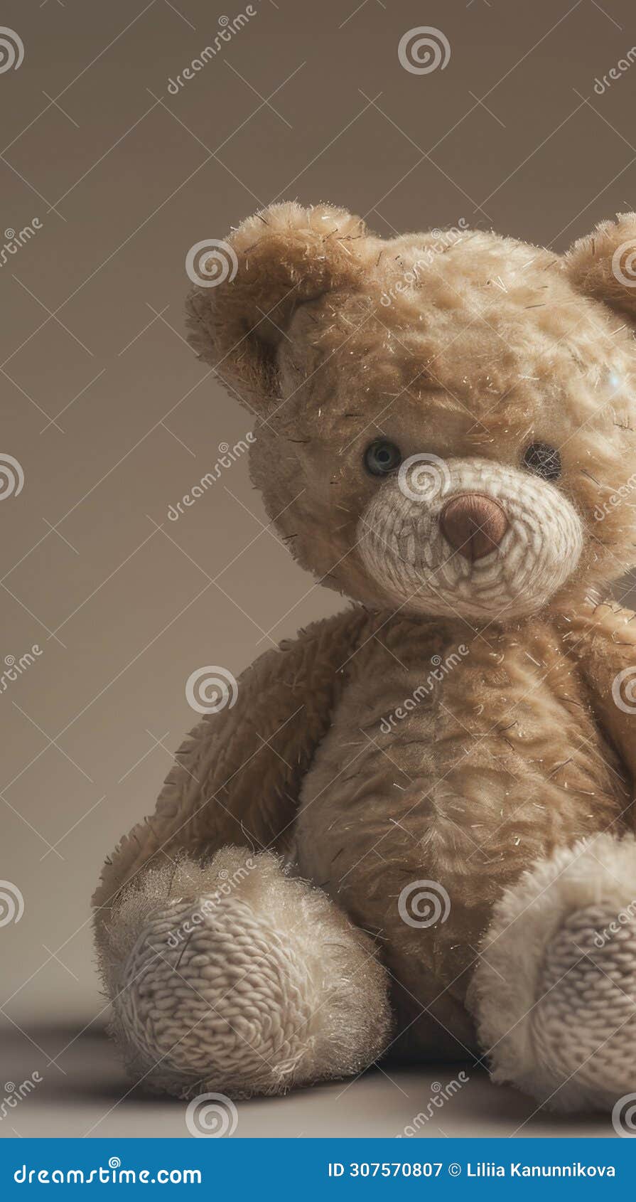 Teddy Bear Doll in a Collection, Highlighting Their Unique Characteristics and Expressio Stock ...