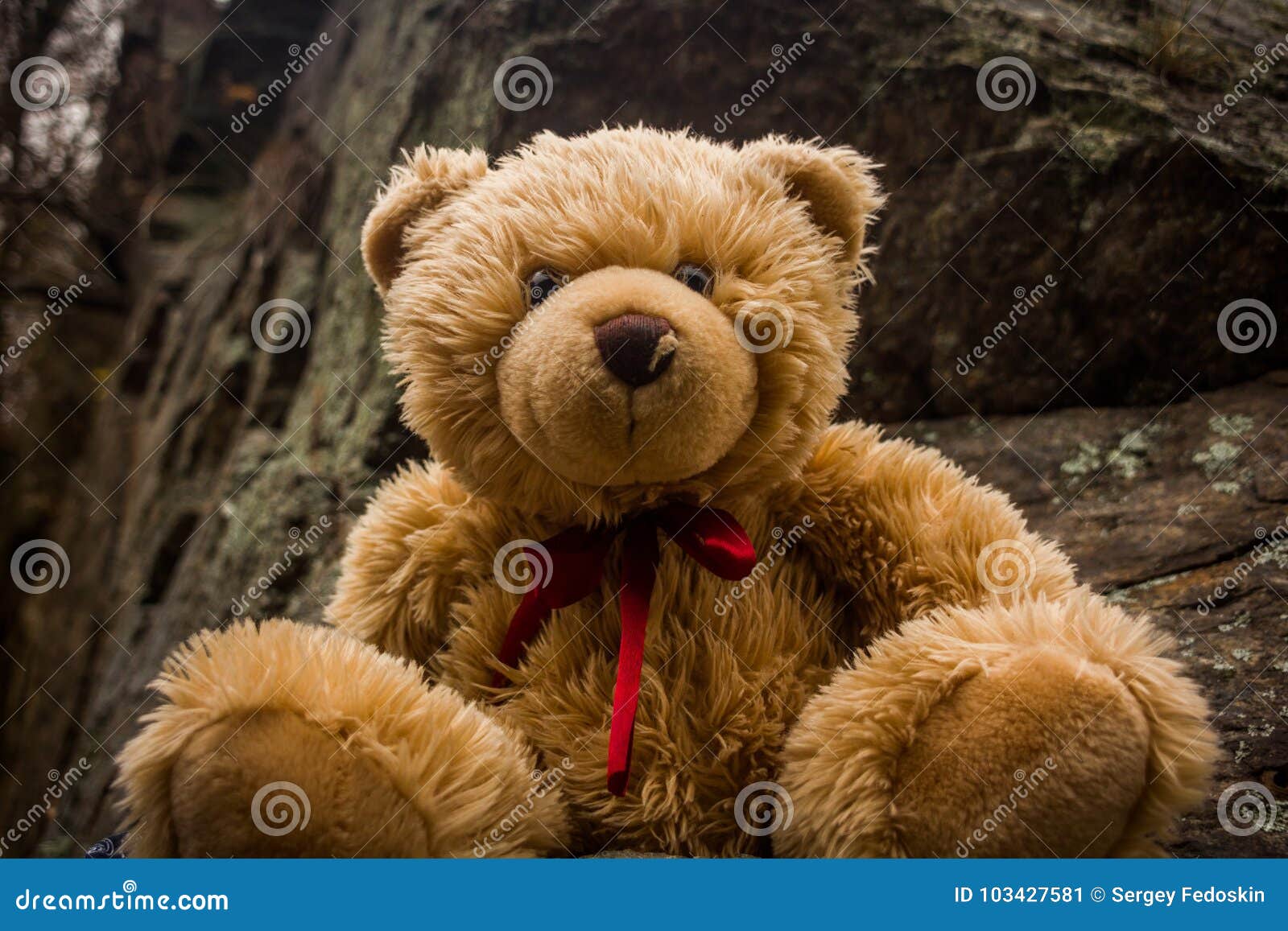 teddy bear names starting with s