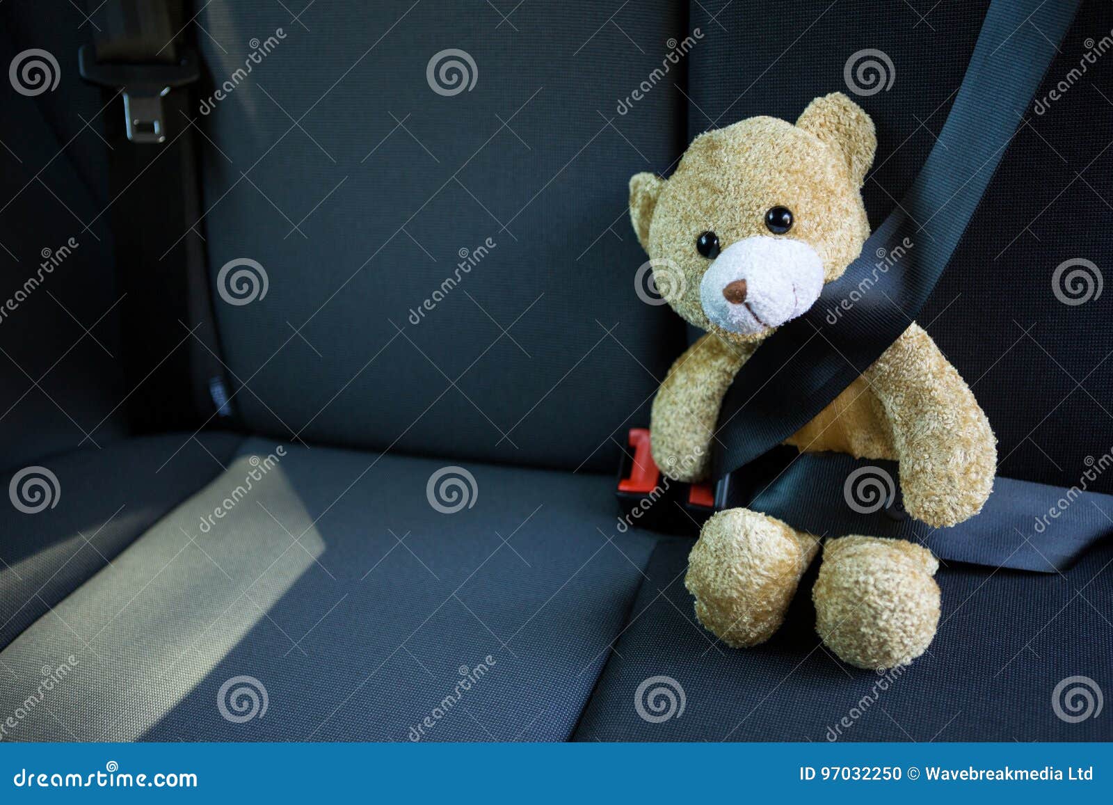 Teddy Bear Fastened in Seat Belt of Car Stock Photo Image of