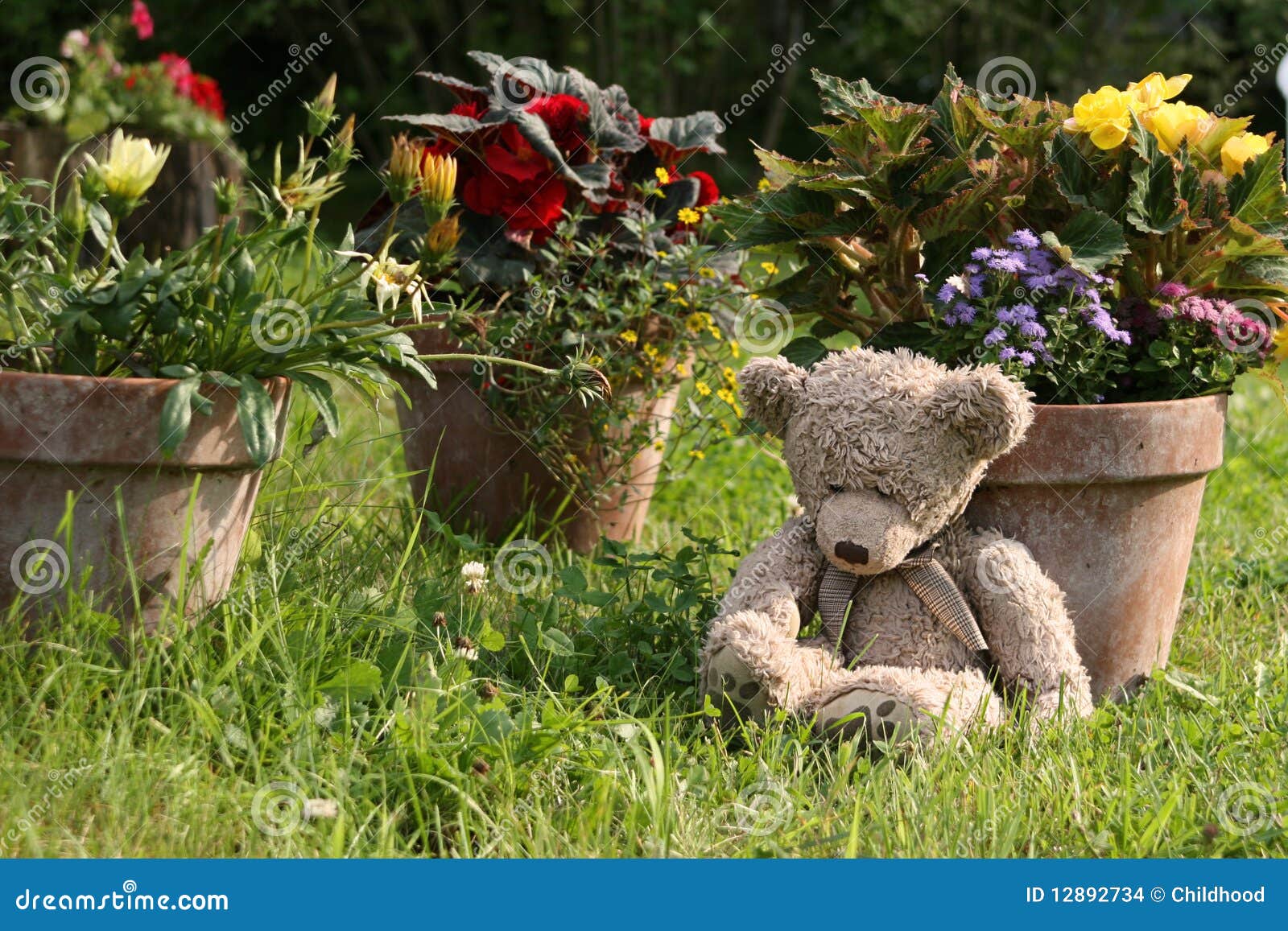 teddy bear garden