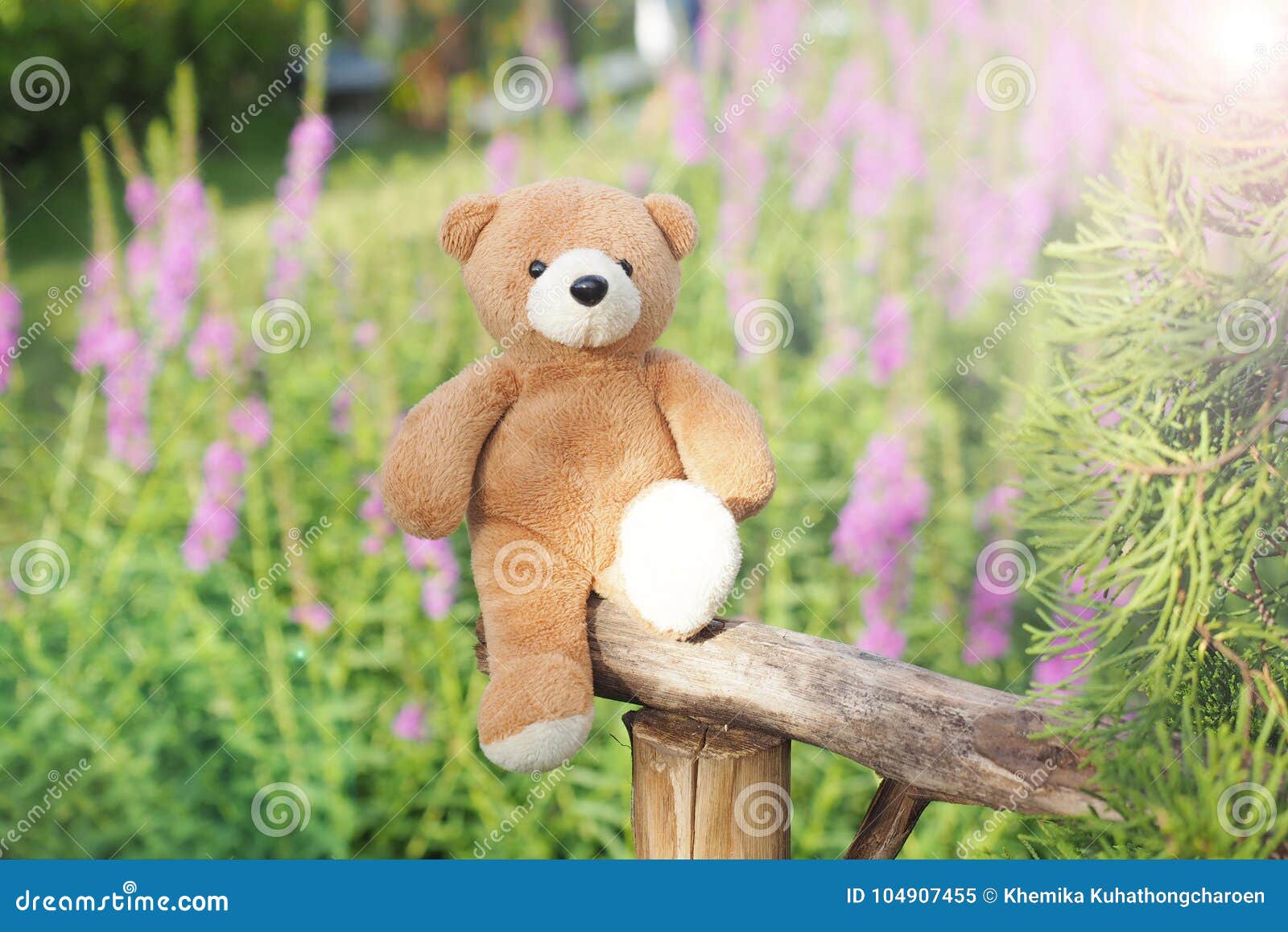 teddy bear garden