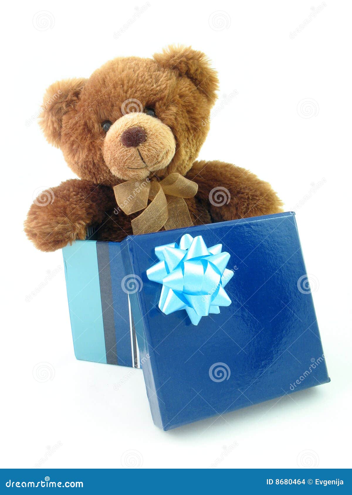 Teddy Bear In Gift Box Stock Images Image 8680464